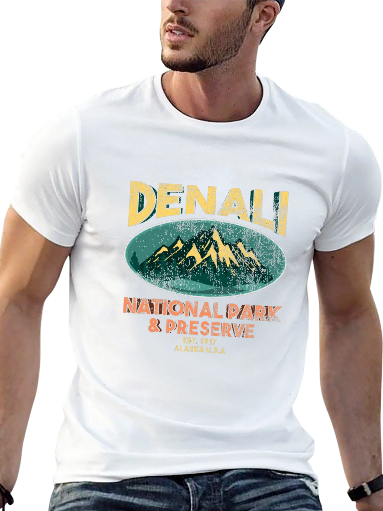 Denali National Park T-Shirt