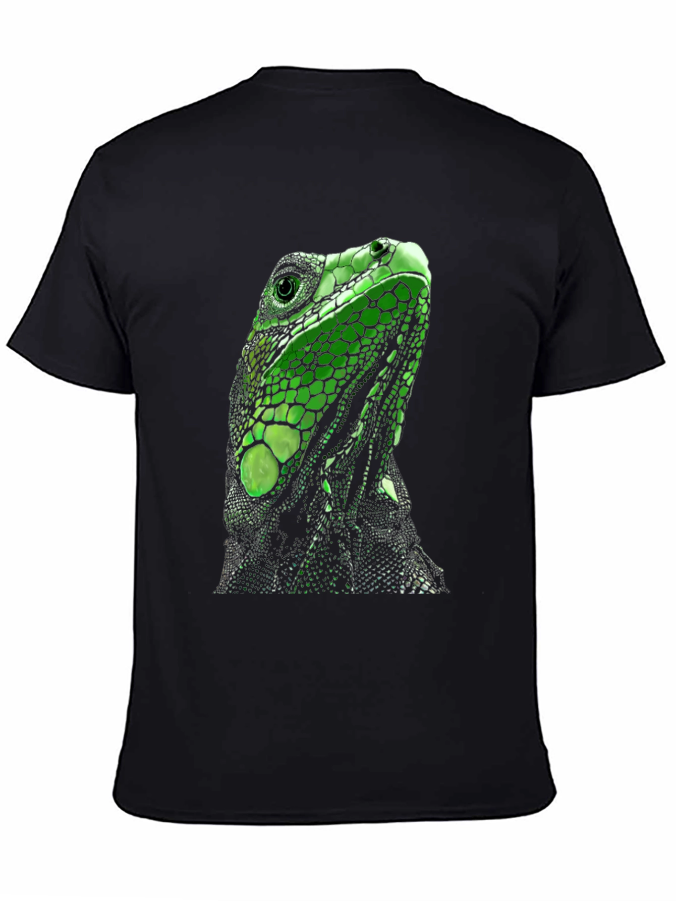 Iguana Graphic T-Shirt - Reptile Lovers Tee