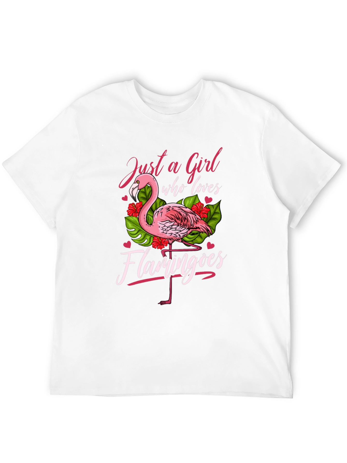 Just a Girl Who Loves Flamingos T-Shirt