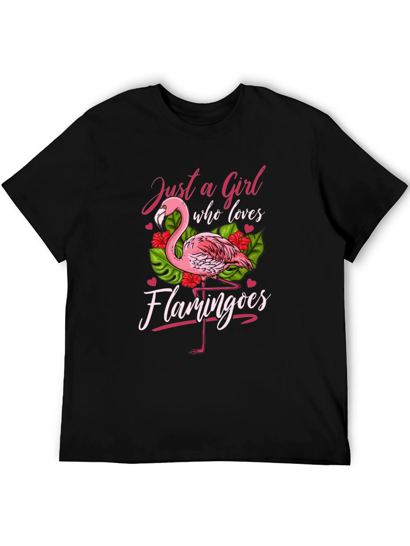 Just a Girl Who Loves Flamingos T-Shirt
