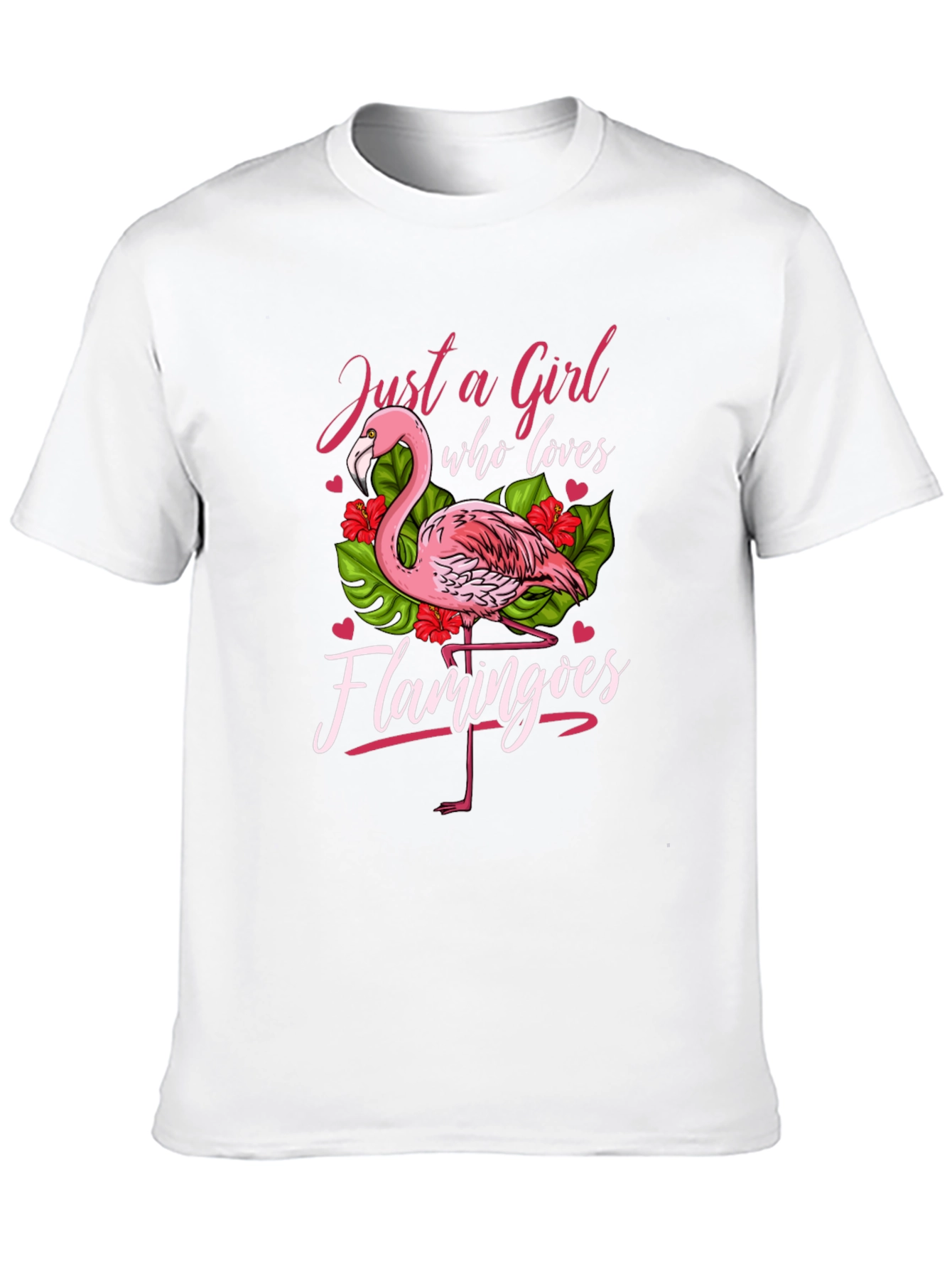 Just a Girl Who Loves Flamingos T-Shirt