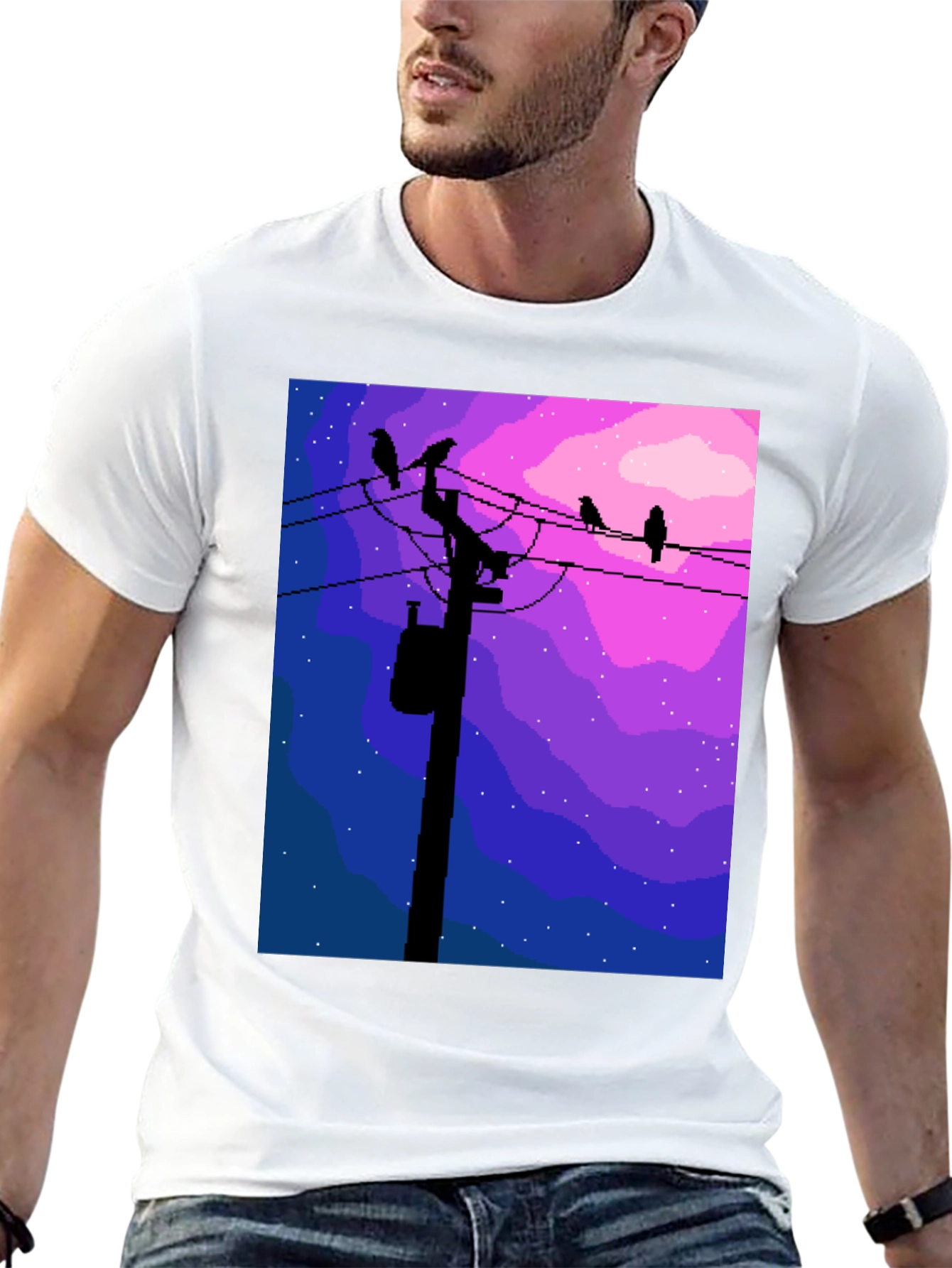 Pixel Art Birds on a Wire Graphic Tee