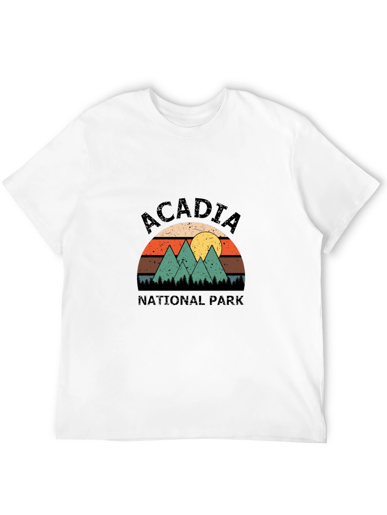 Acadia National Park Retro T-Shirt