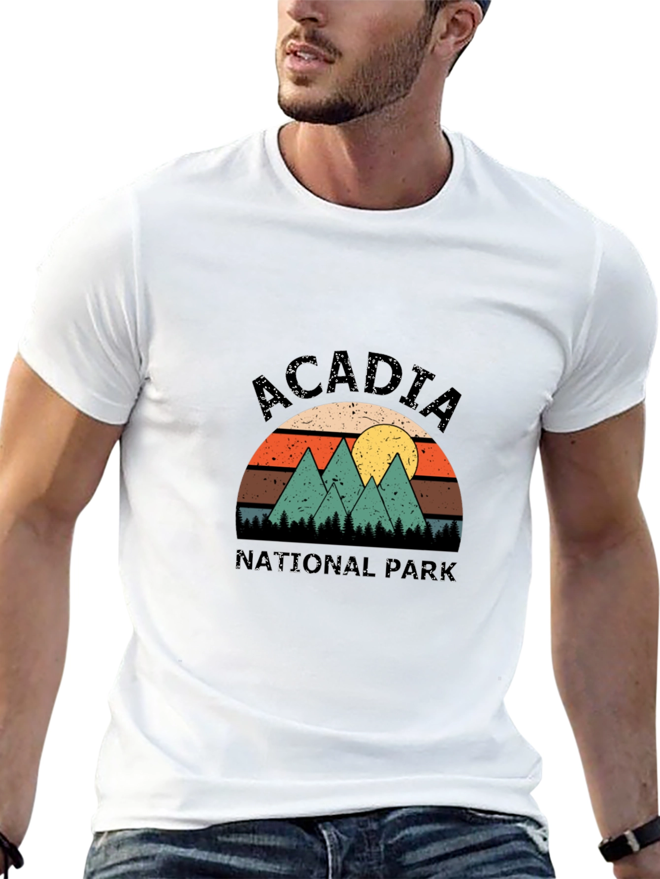 Acadia National Park Retro T-Shirt