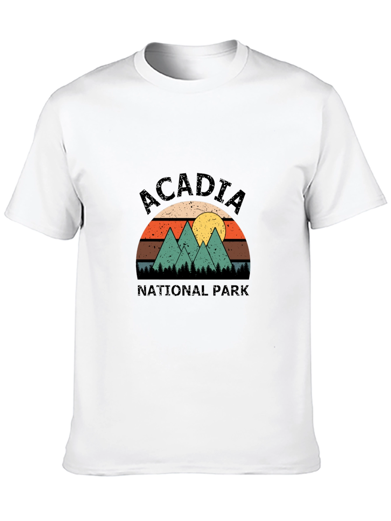 Acadia National Park Retro T-Shirt