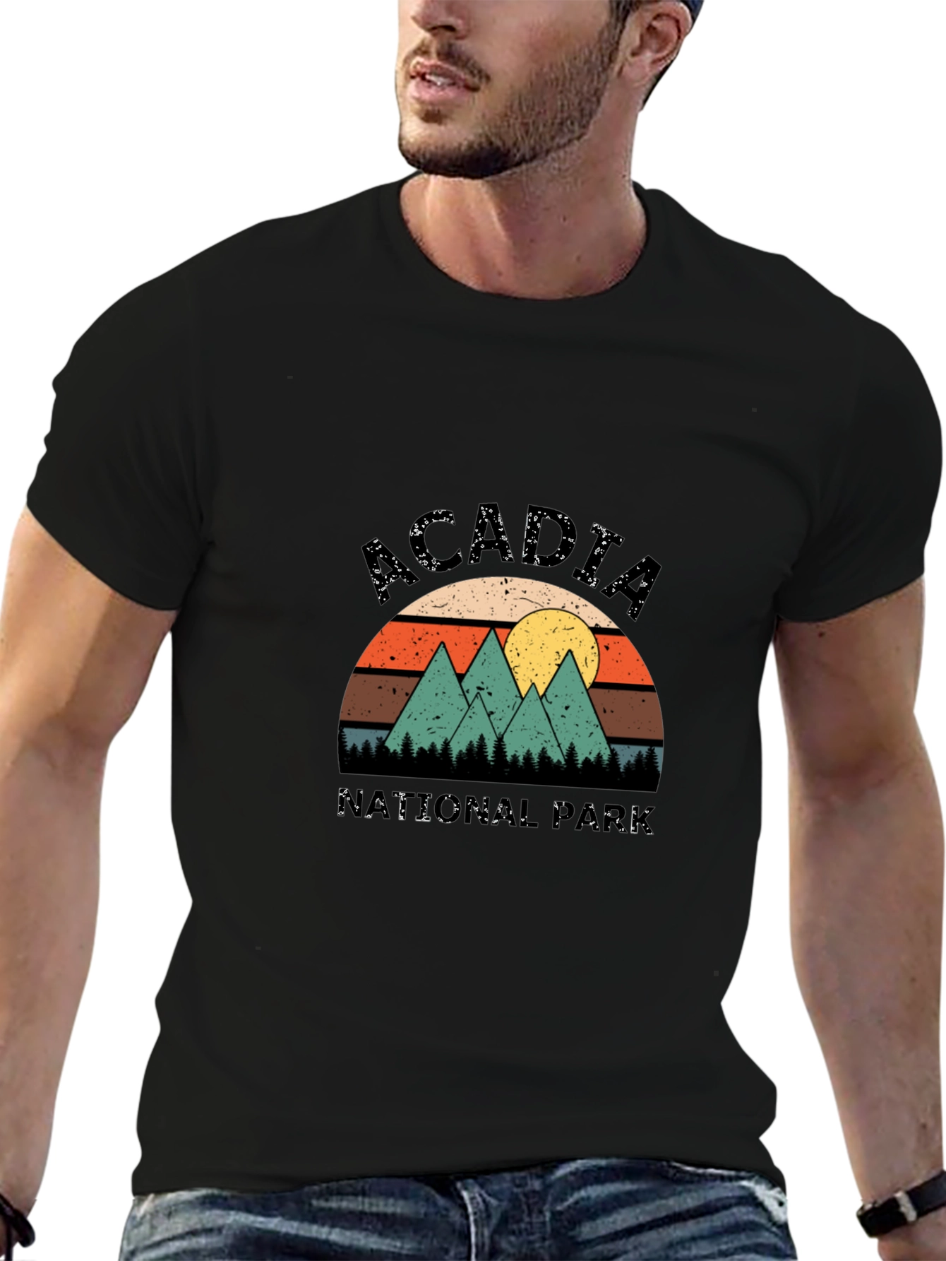 Acadia National Park Retro T-Shirt