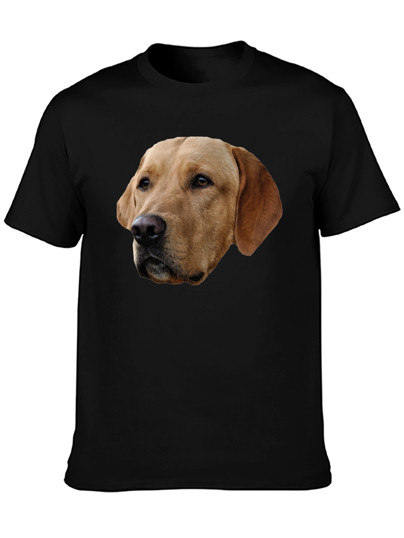 Labrador Dog Graphic T-Shirt