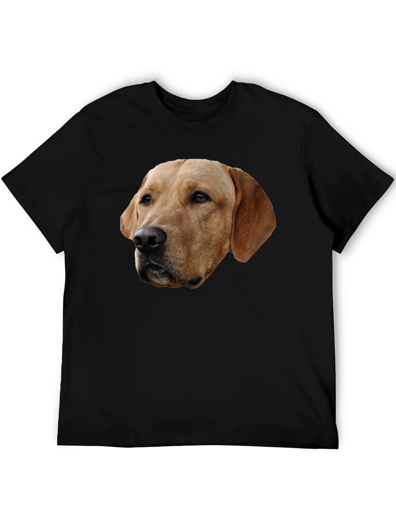 Labrador Dog Graphic T-Shirt