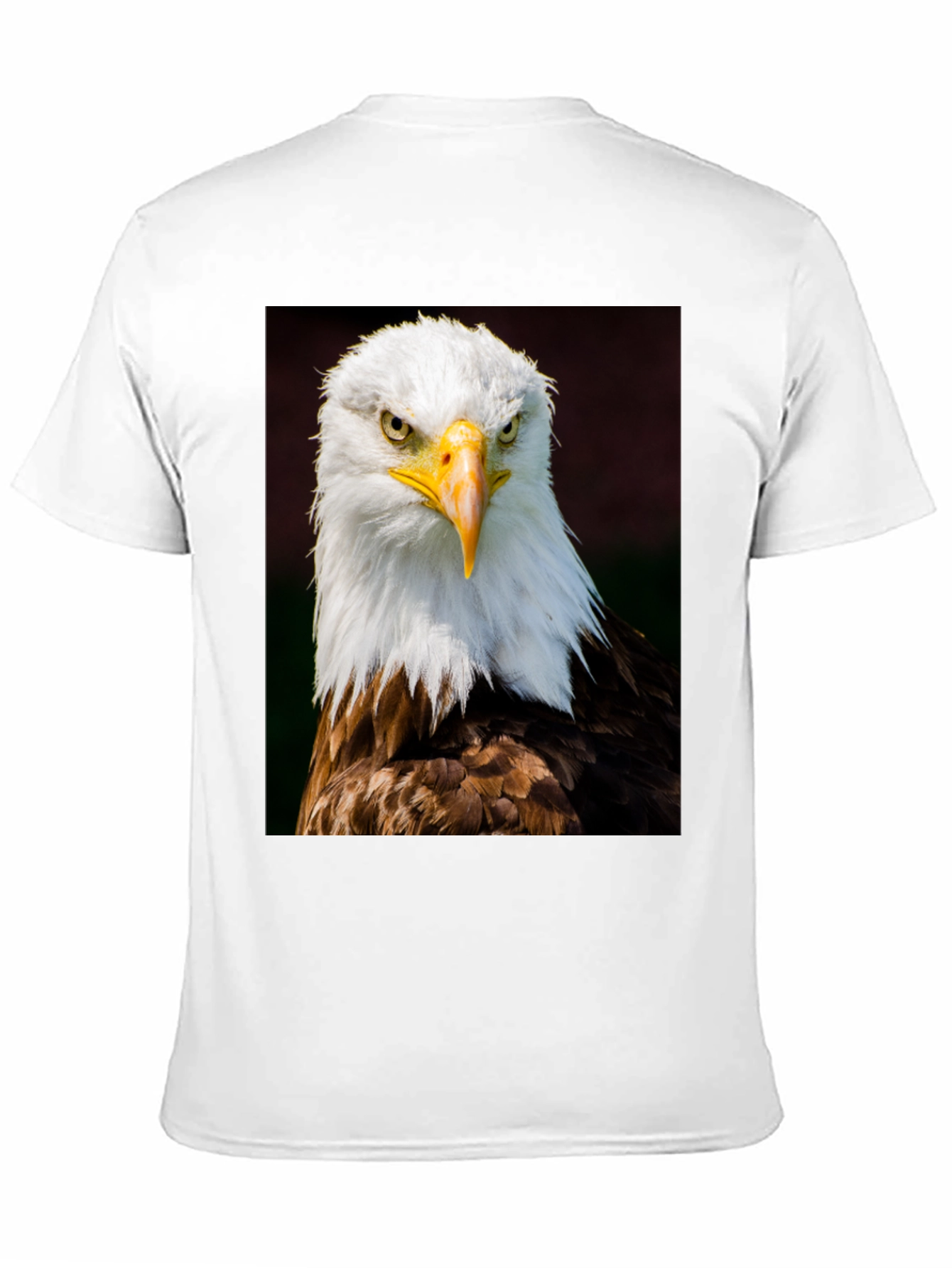Eagle Graphic T-Shirt - Bold Bird of Prey Design