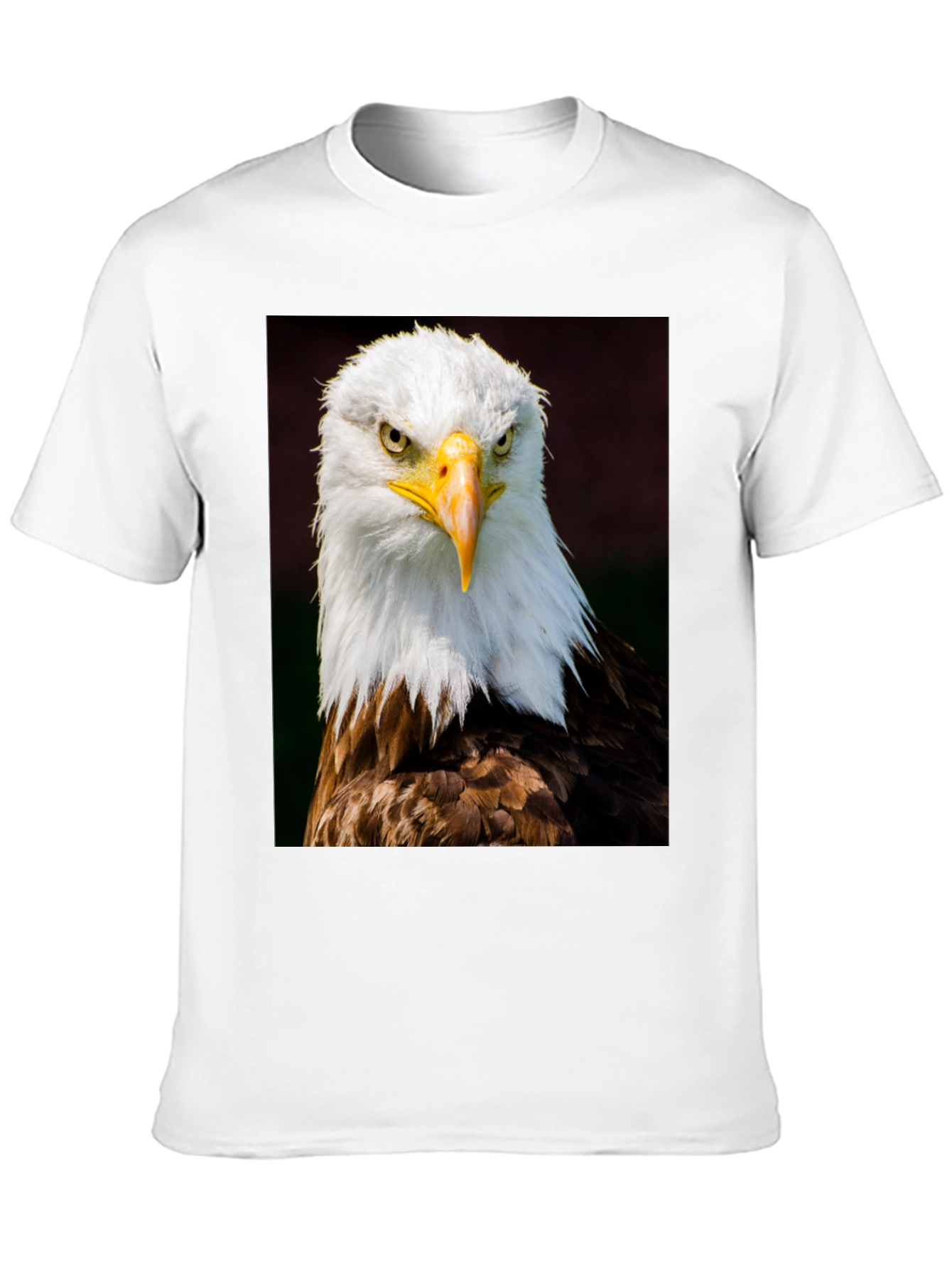 Eagle Graphic T-Shirt - Bold Bird of Prey Design