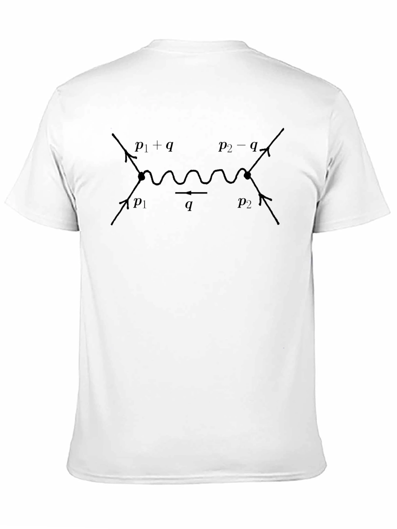 Physics Diagram T-Shirt - Science Enthusiast Apparel