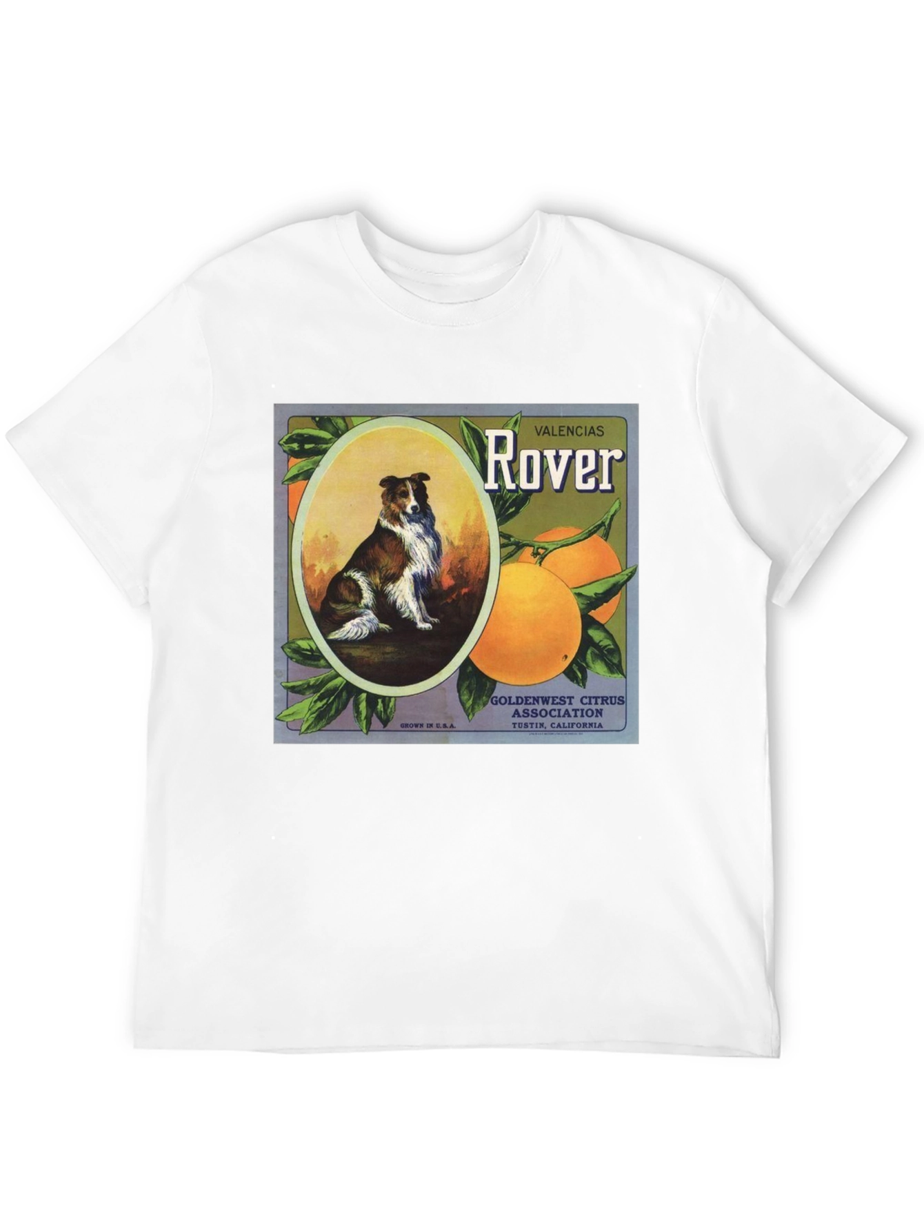 Dog & Orange Valencias Rover Graphic Tee