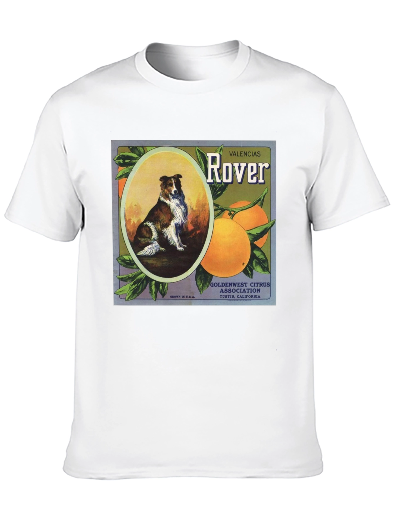 Dog & Orange Valencias Rover Graphic Tee