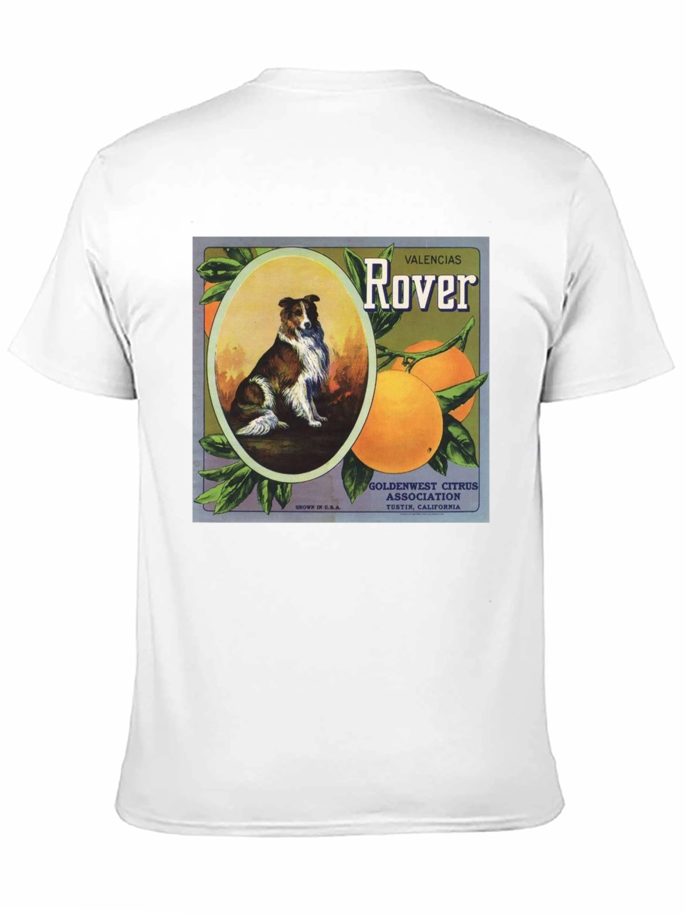 Dog & Orange Valencias Rover Graphic Tee