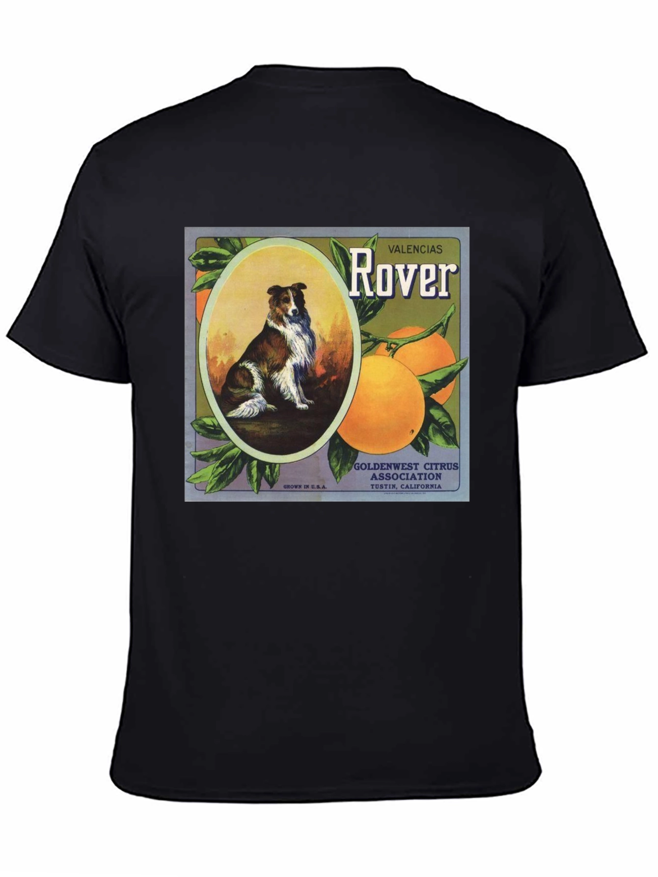 Dog & Orange Valencias Rover Graphic Tee