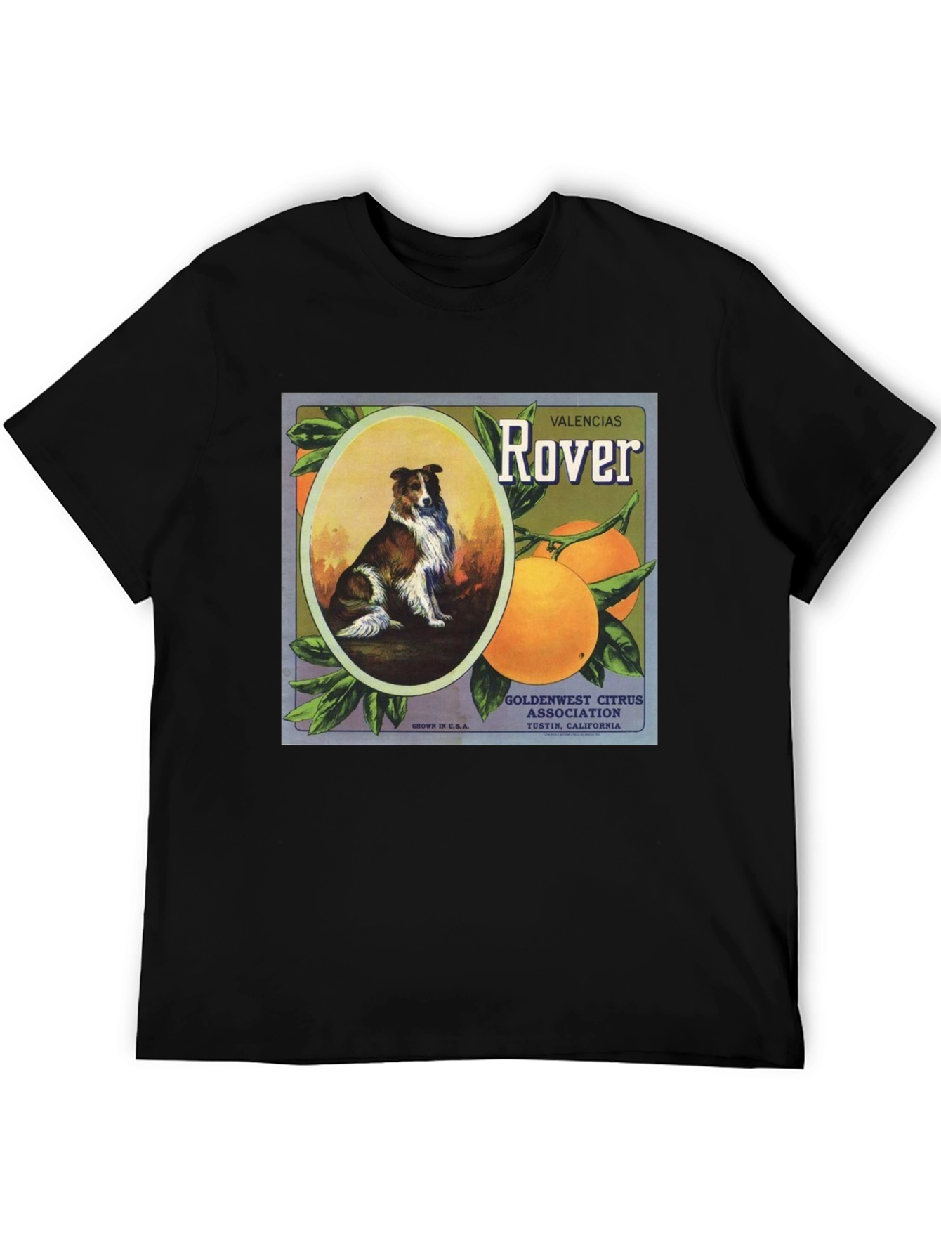 Dog & Orange Valencias Rover Graphic Tee