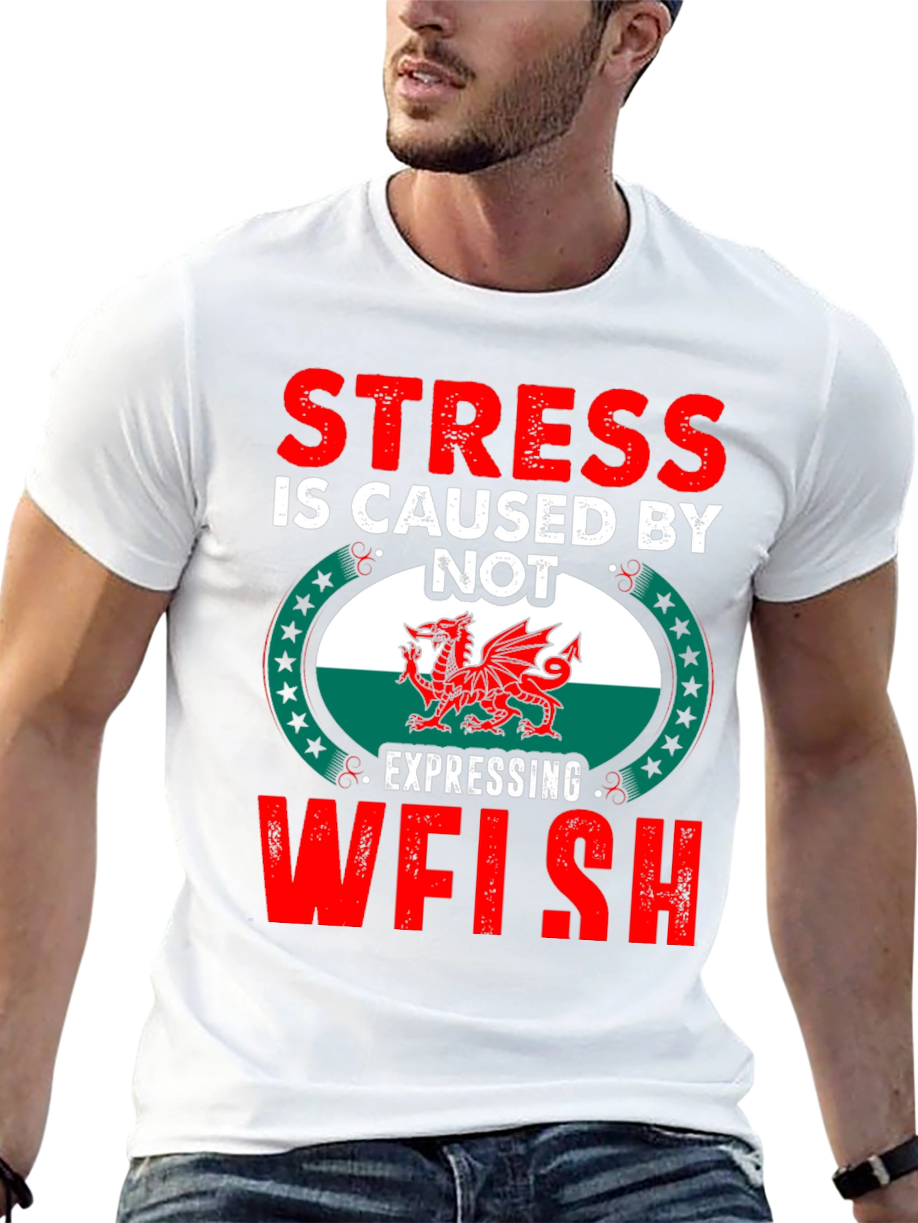 Stress is Caused by Not Expressing Welsh T-Shirt