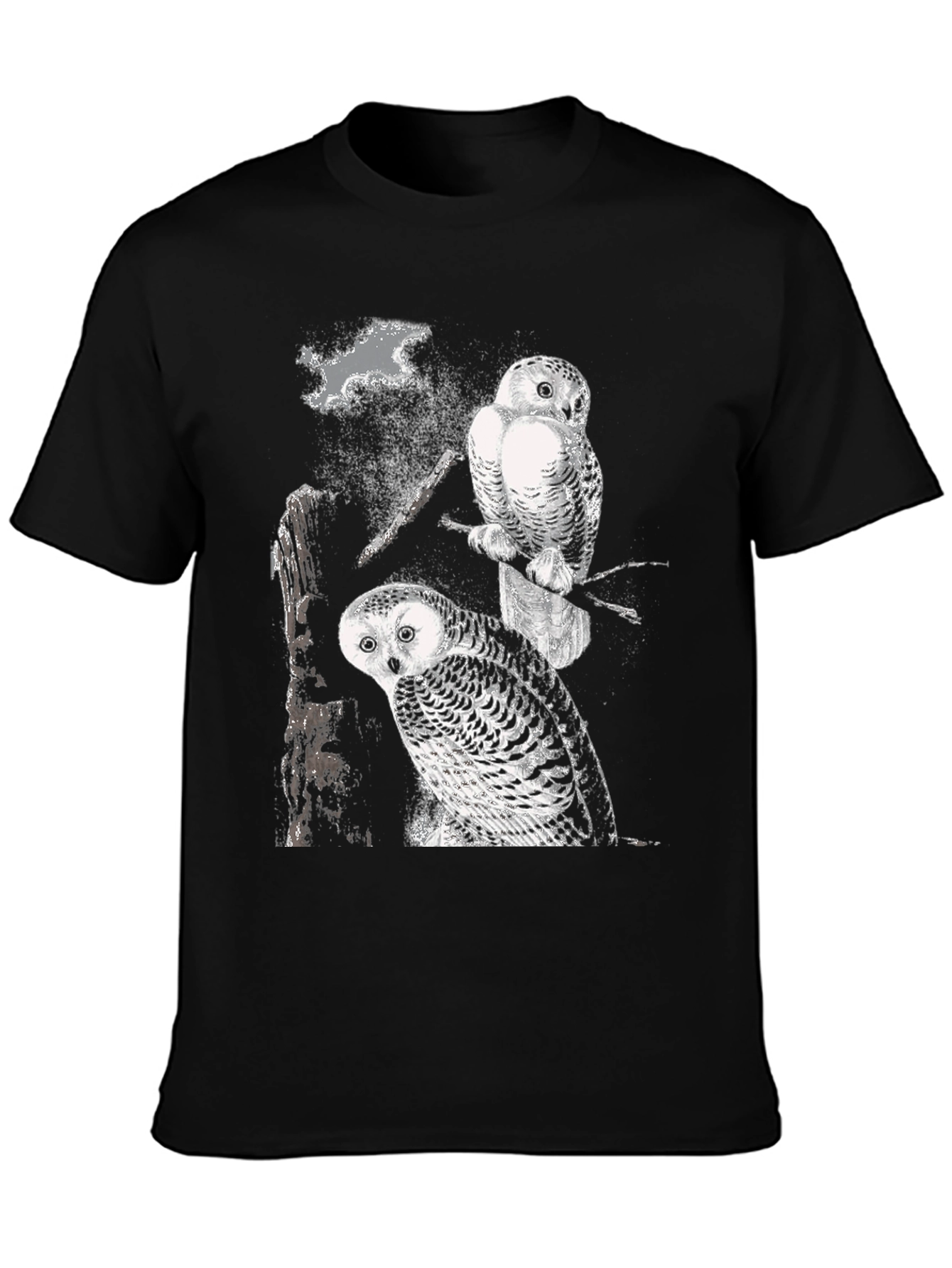 Two Owls Black T-Shirt | Nature Lovers