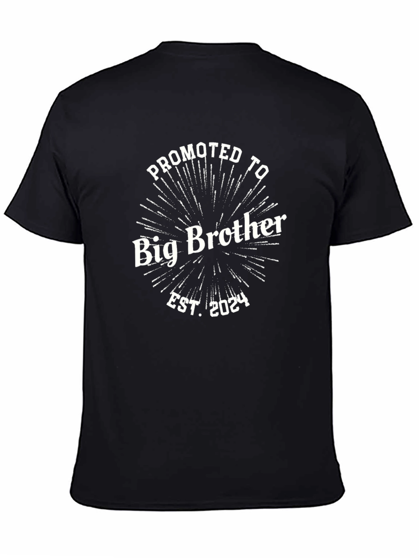 Promoted to Big Brother 2024 Black T-Shirt