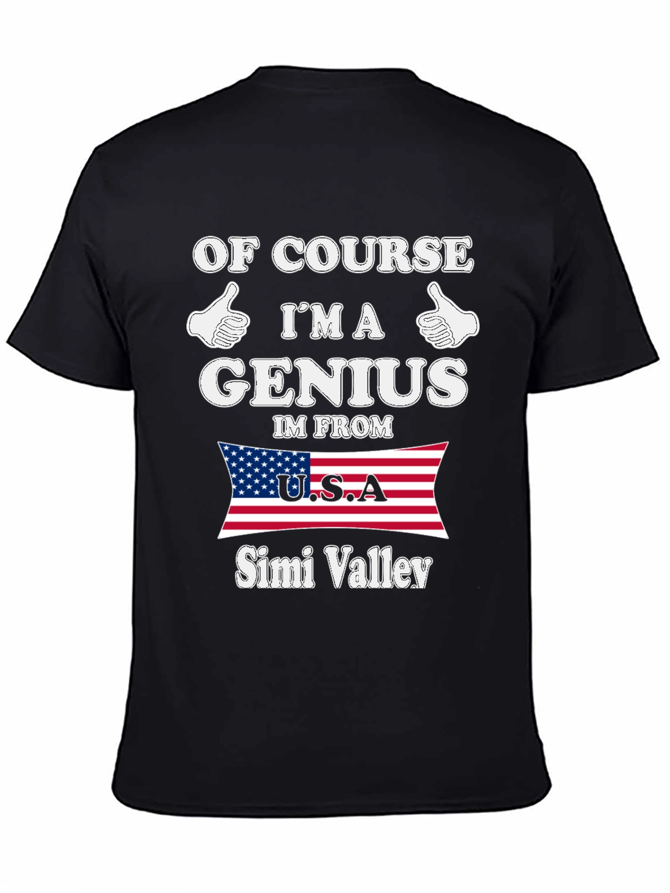 Genius From Simi Valley USA T-Shirt