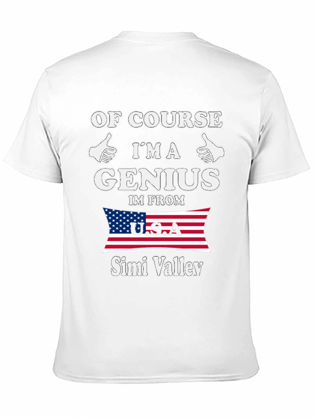 Genius From Simi Valley USA T-Shirt