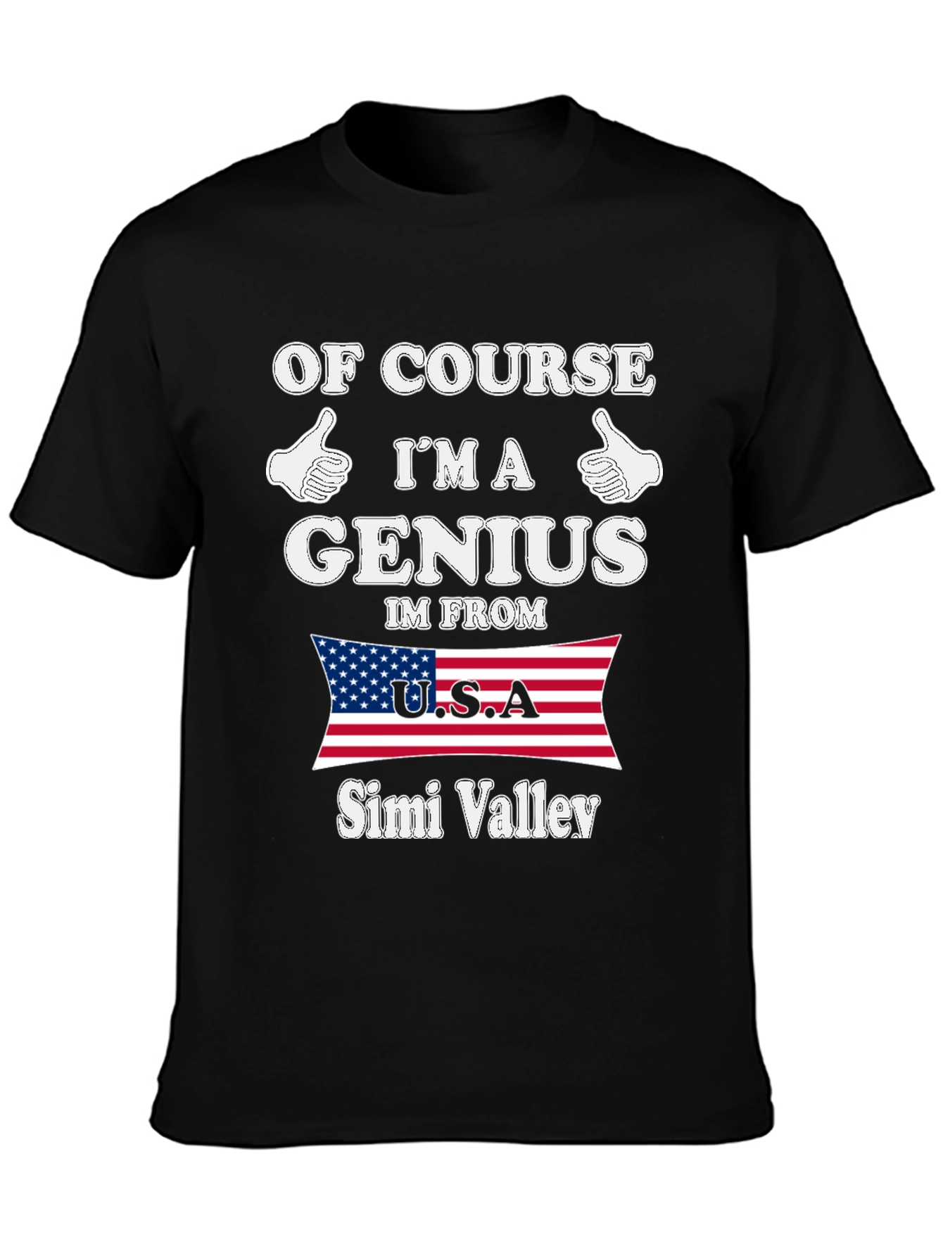 Genius From Simi Valley USA T-Shirt