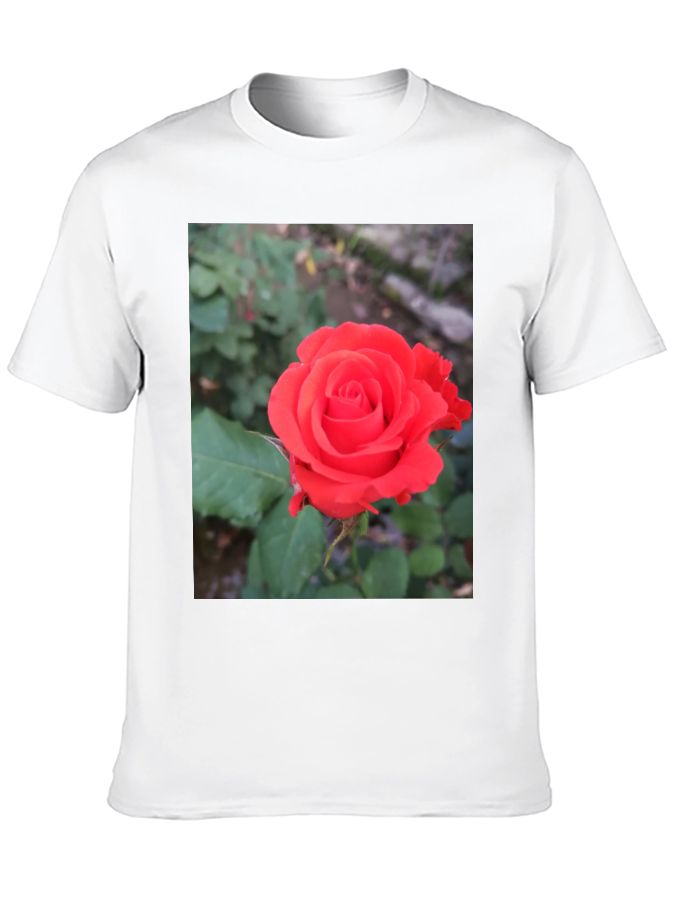 Black T-Shirt with Red Rose Graphic