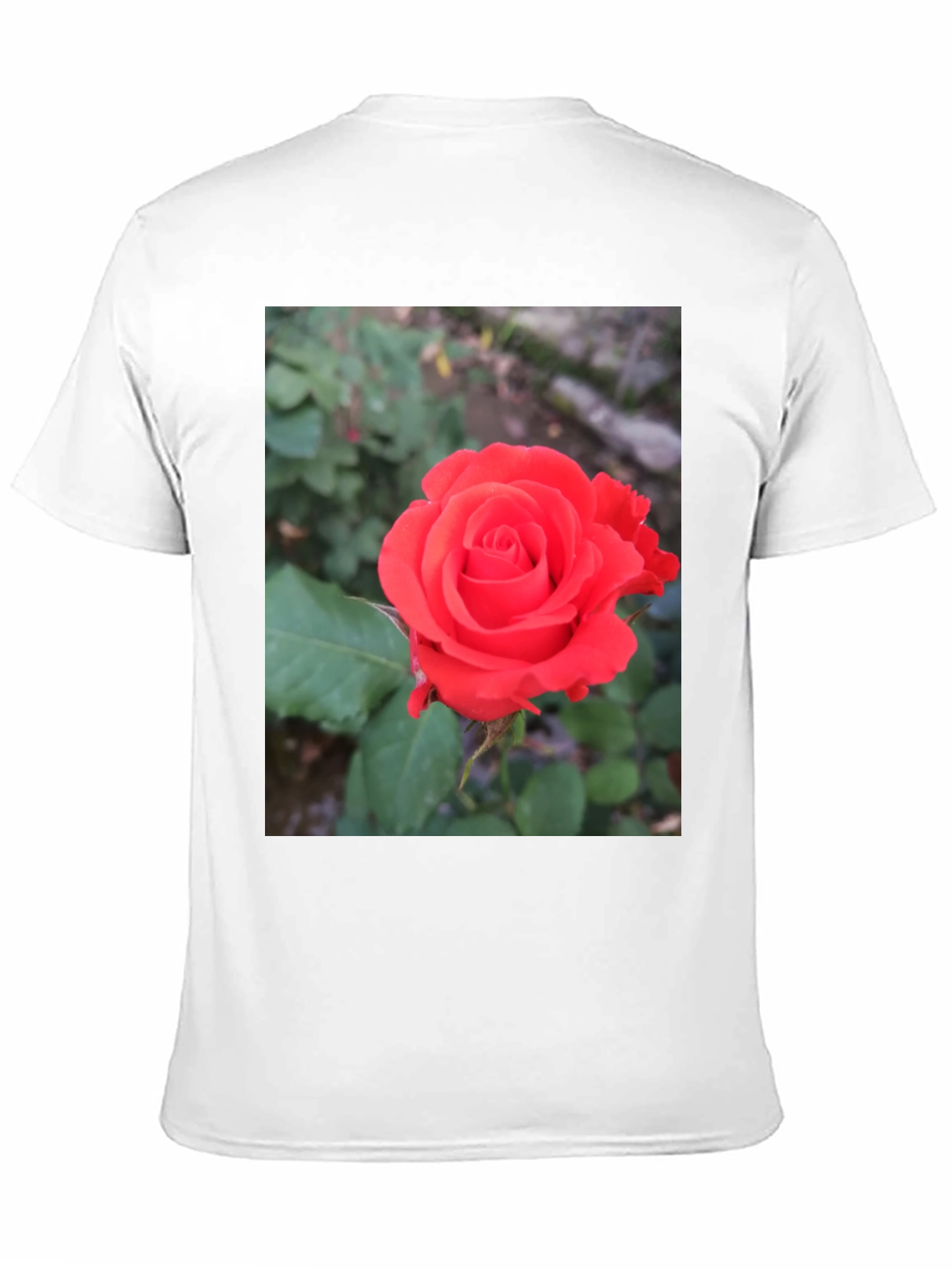 Black T-Shirt with Red Rose Graphic