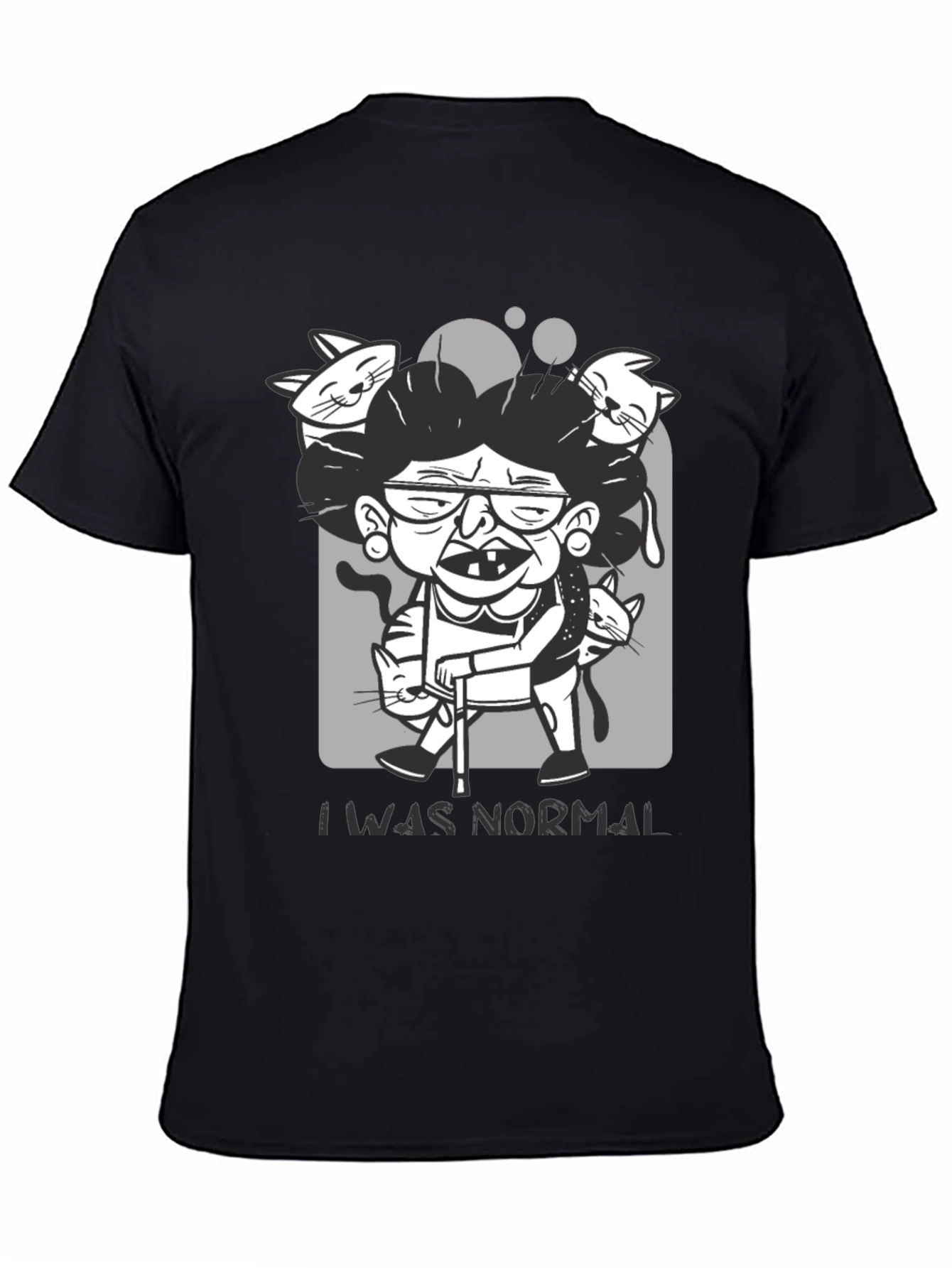 Crazy Cat Lady T-Shirt - I Was Normal
