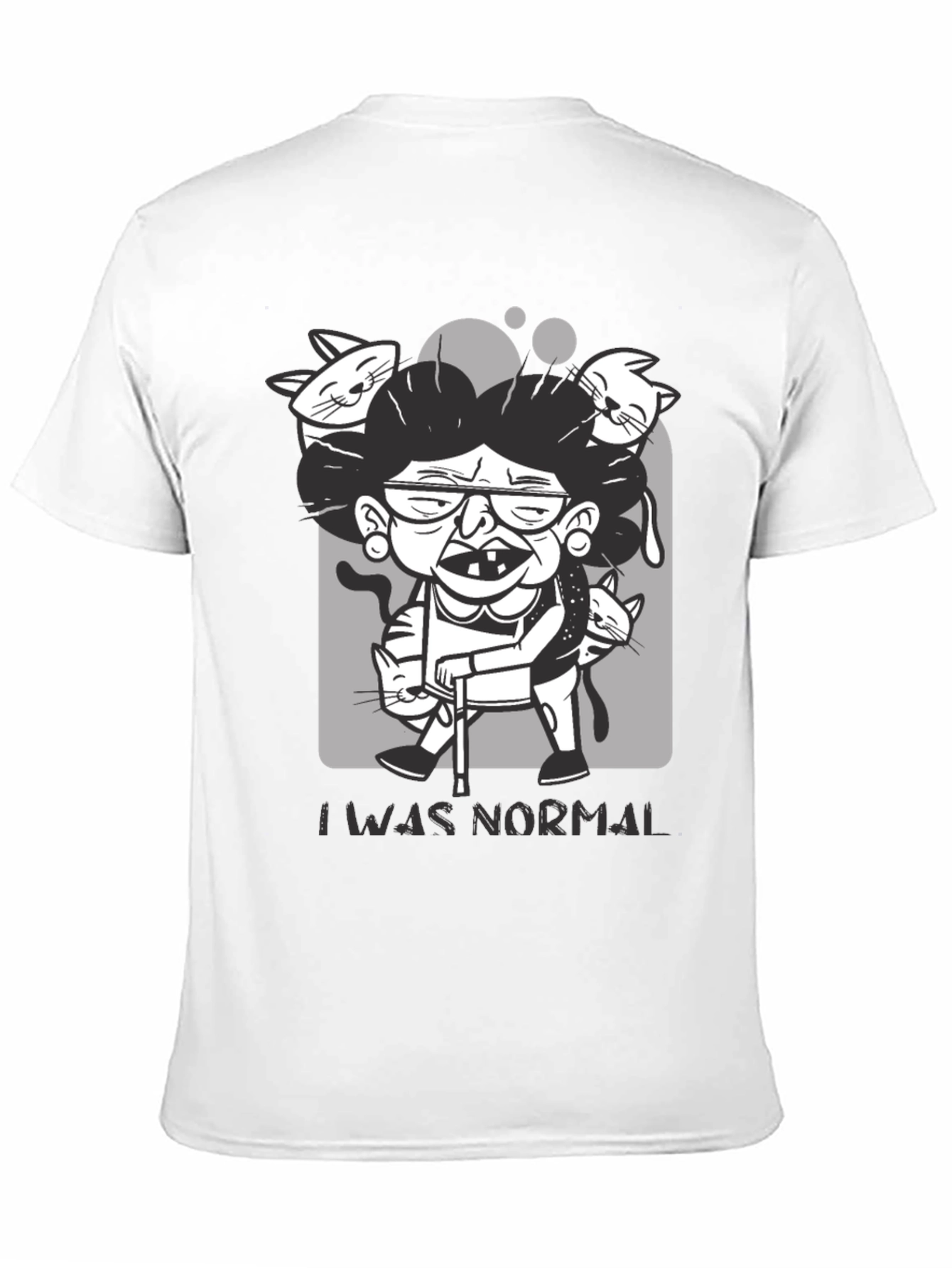 Crazy Cat Lady T-Shirt - I Was Normal