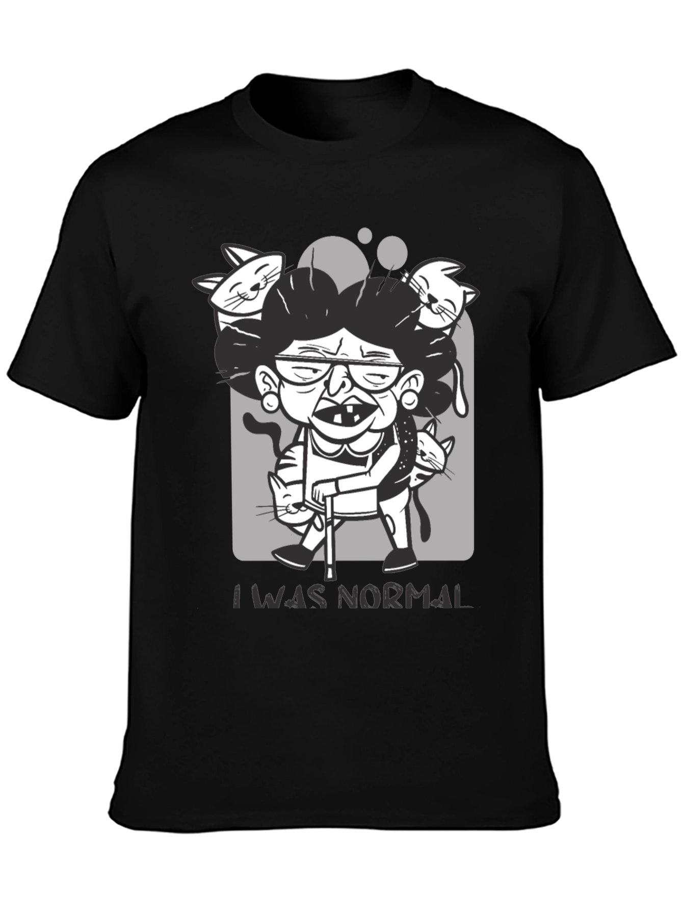 Crazy Cat Lady T-Shirt - I Was Normal