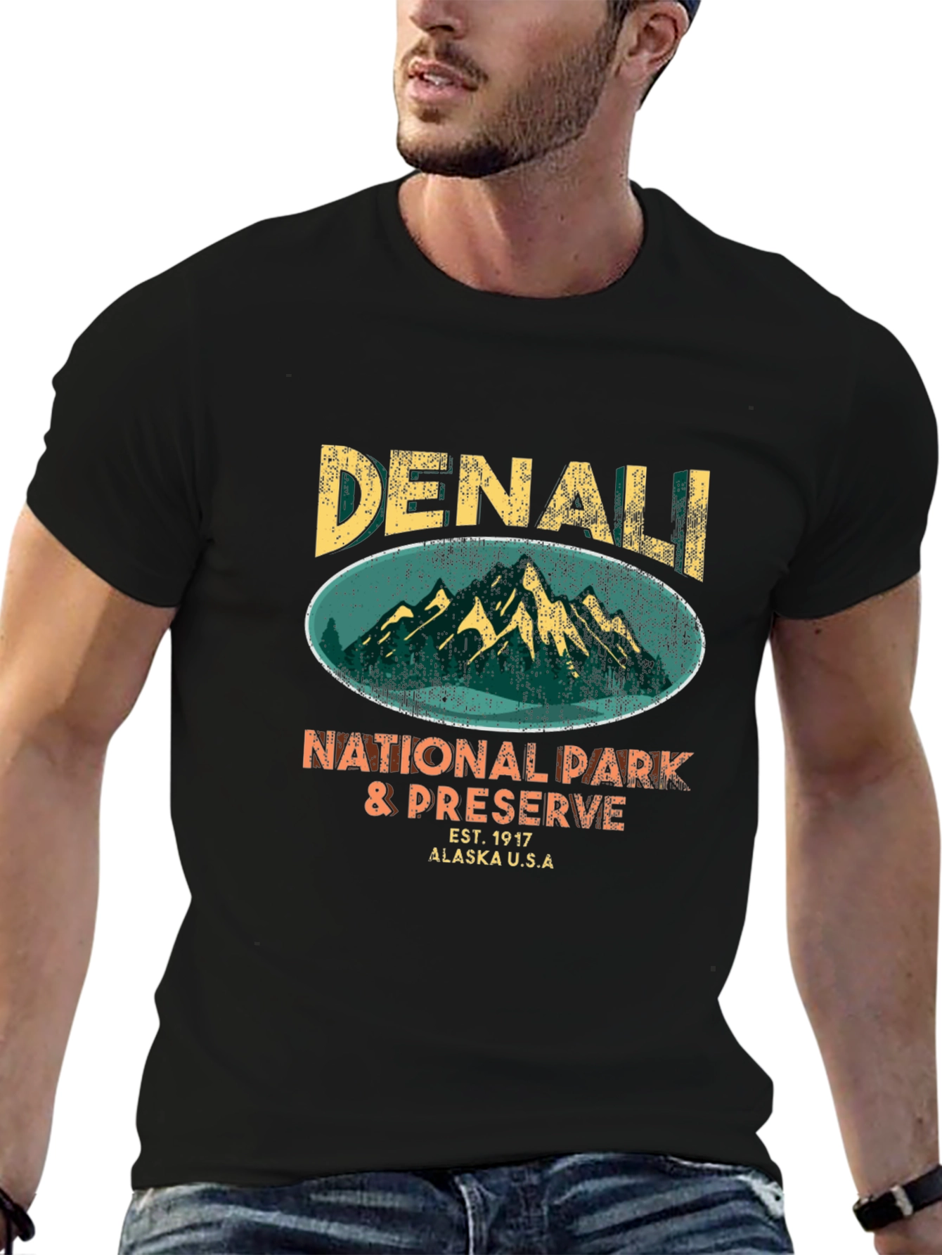Denali National Park T-Shirt