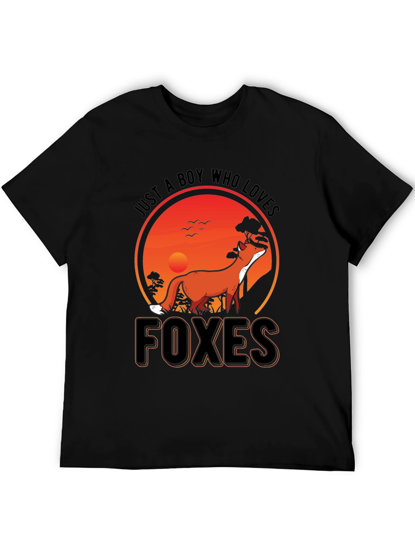 Just a Boy Who Loves Foxes T-Shirt