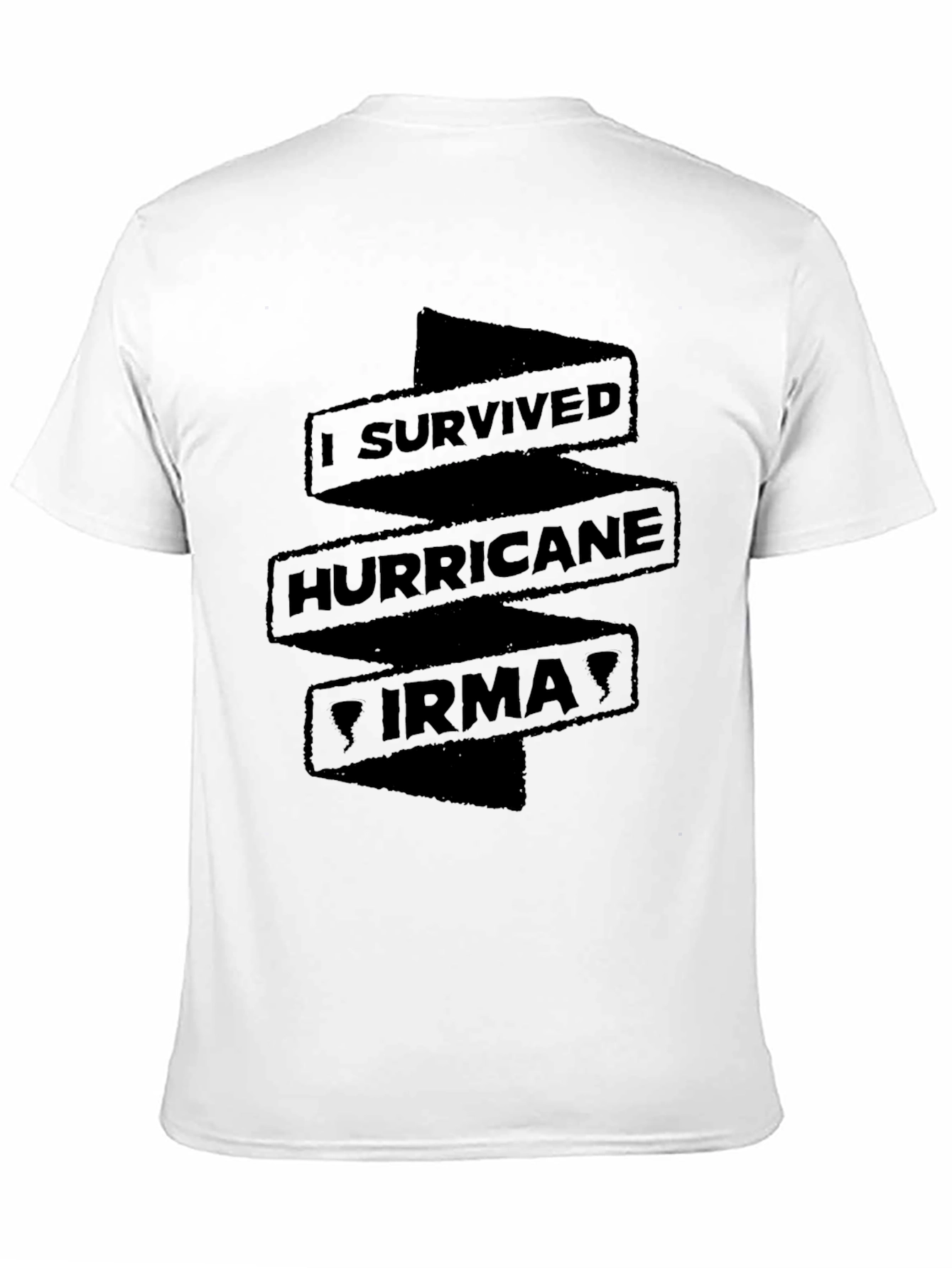 I Survived Hurricane Irma T-Shirt