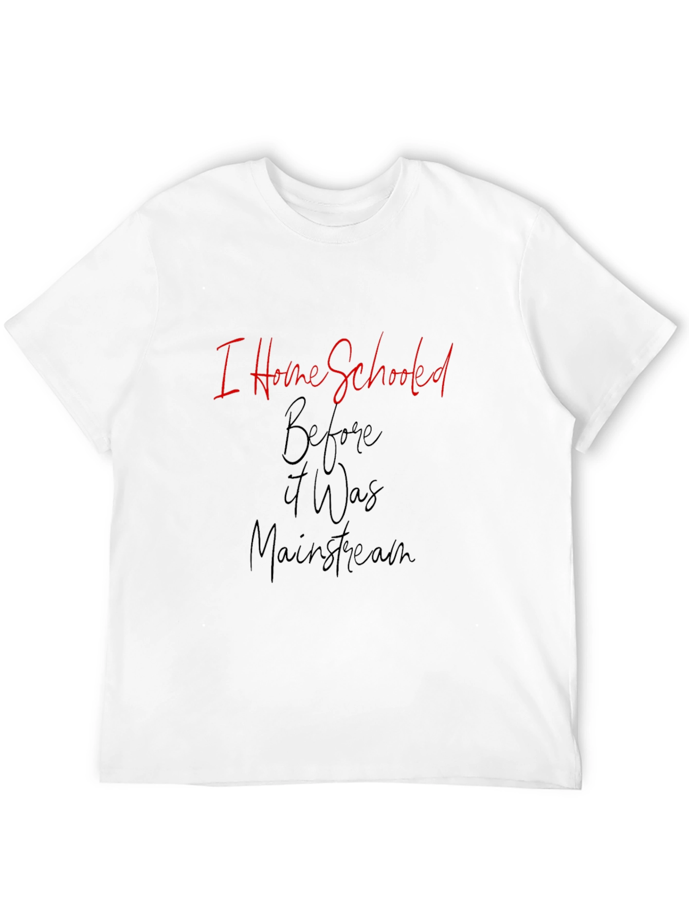 I Home Schooled Before It Was Mainstream T-Shirt