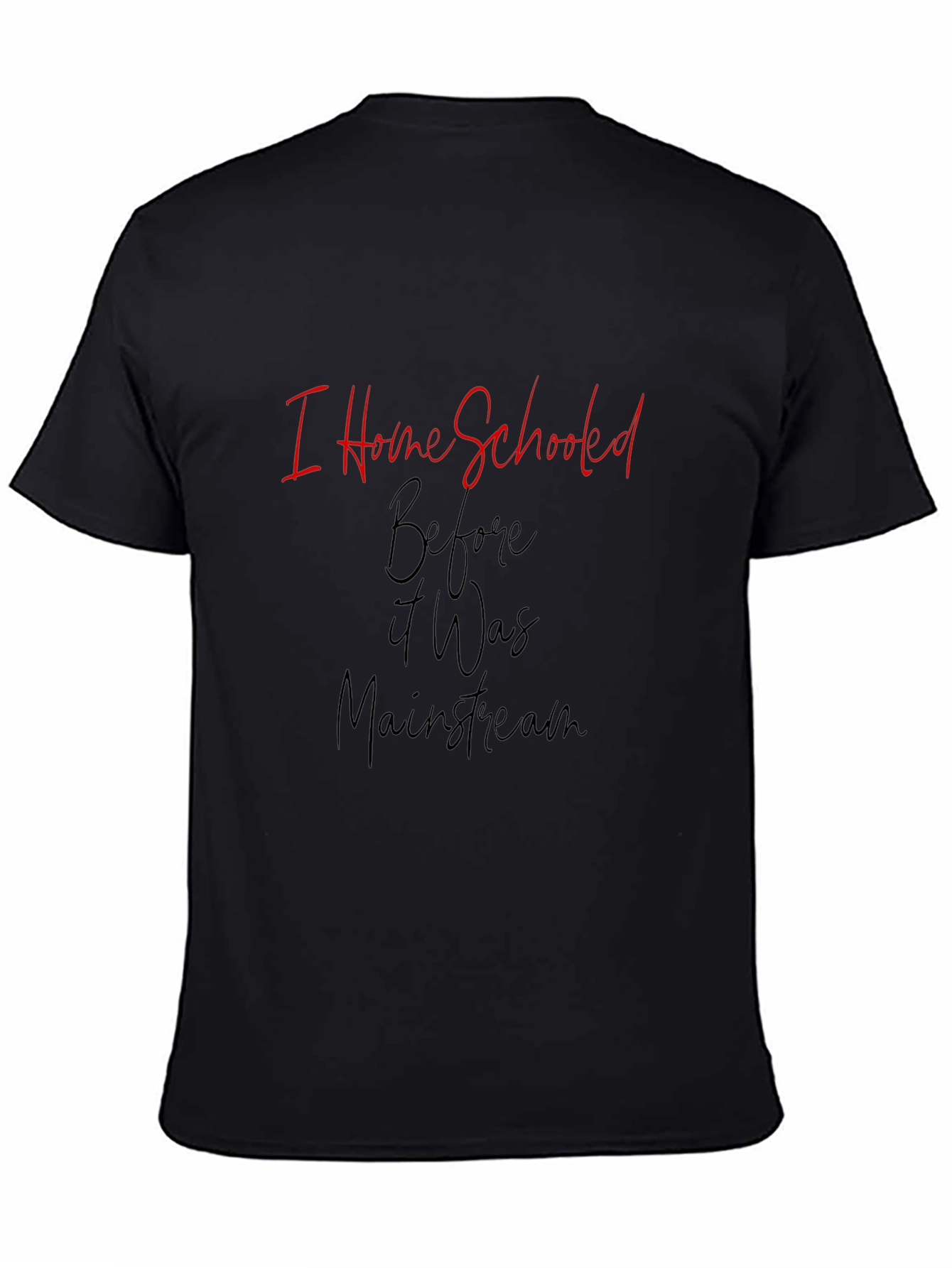 I Home Schooled Before It Was Mainstream T-Shirt