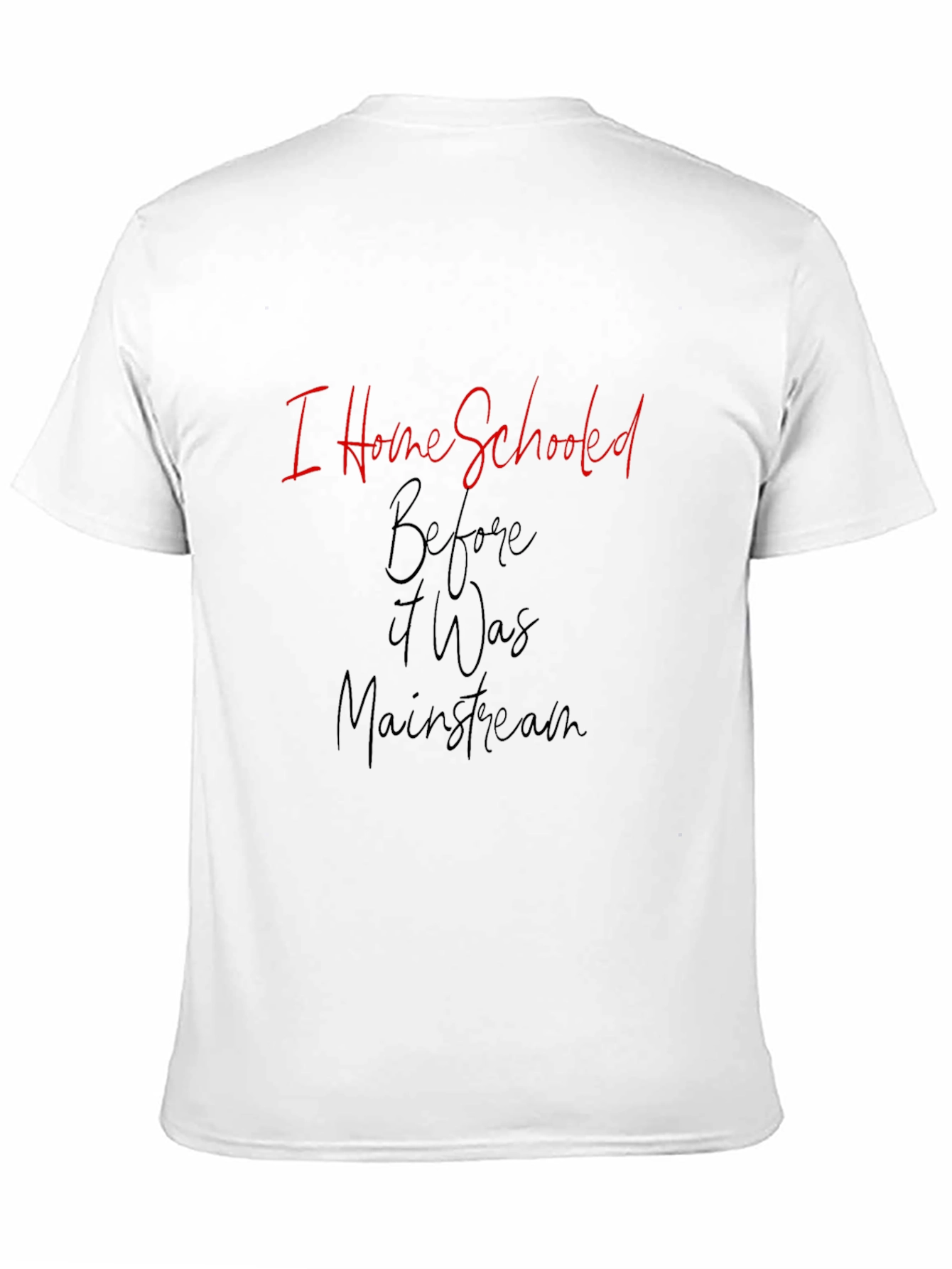 I Home Schooled Before It Was Mainstream T-Shirt