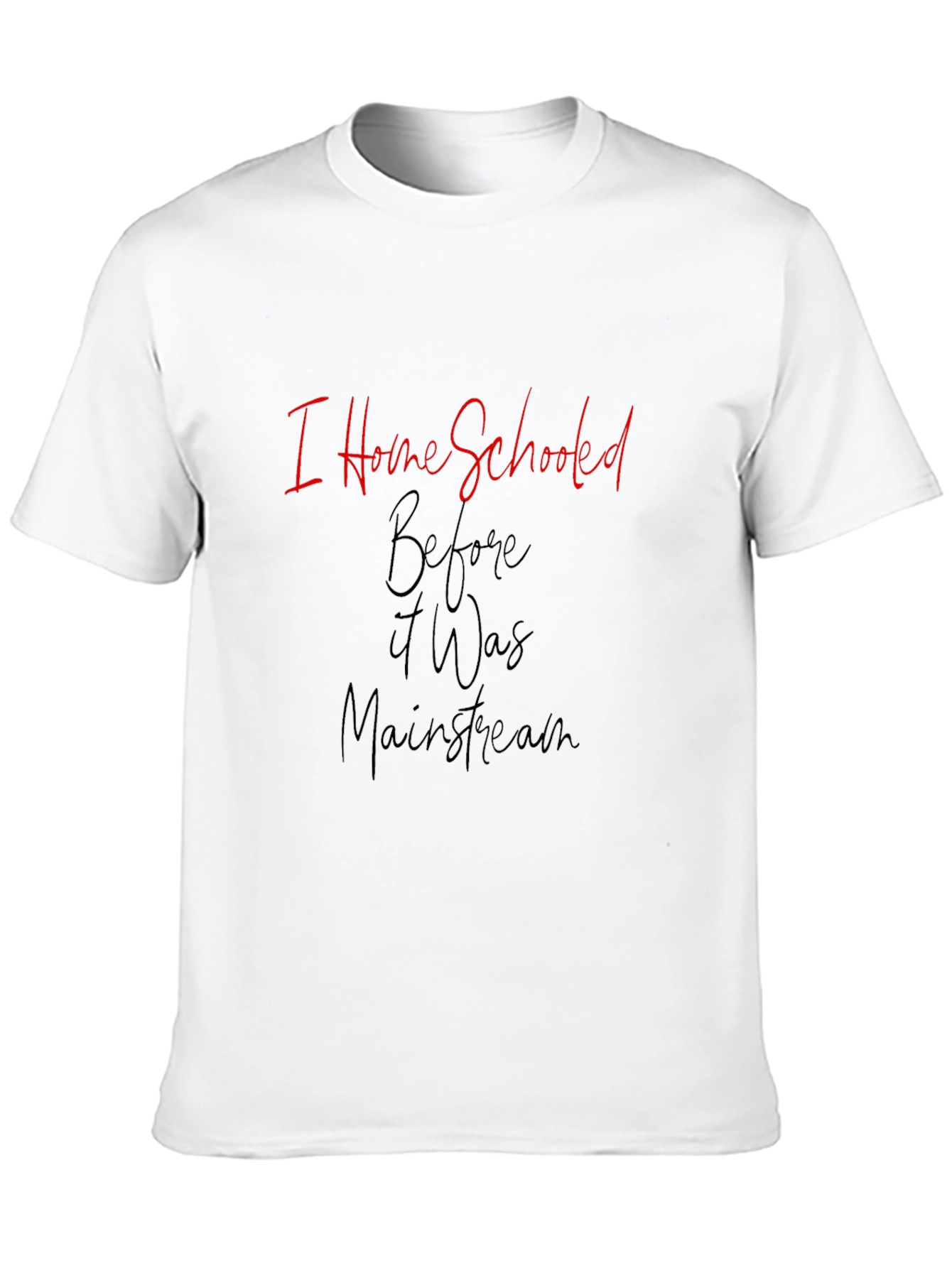 I Home Schooled Before It Was Mainstream T-Shirt