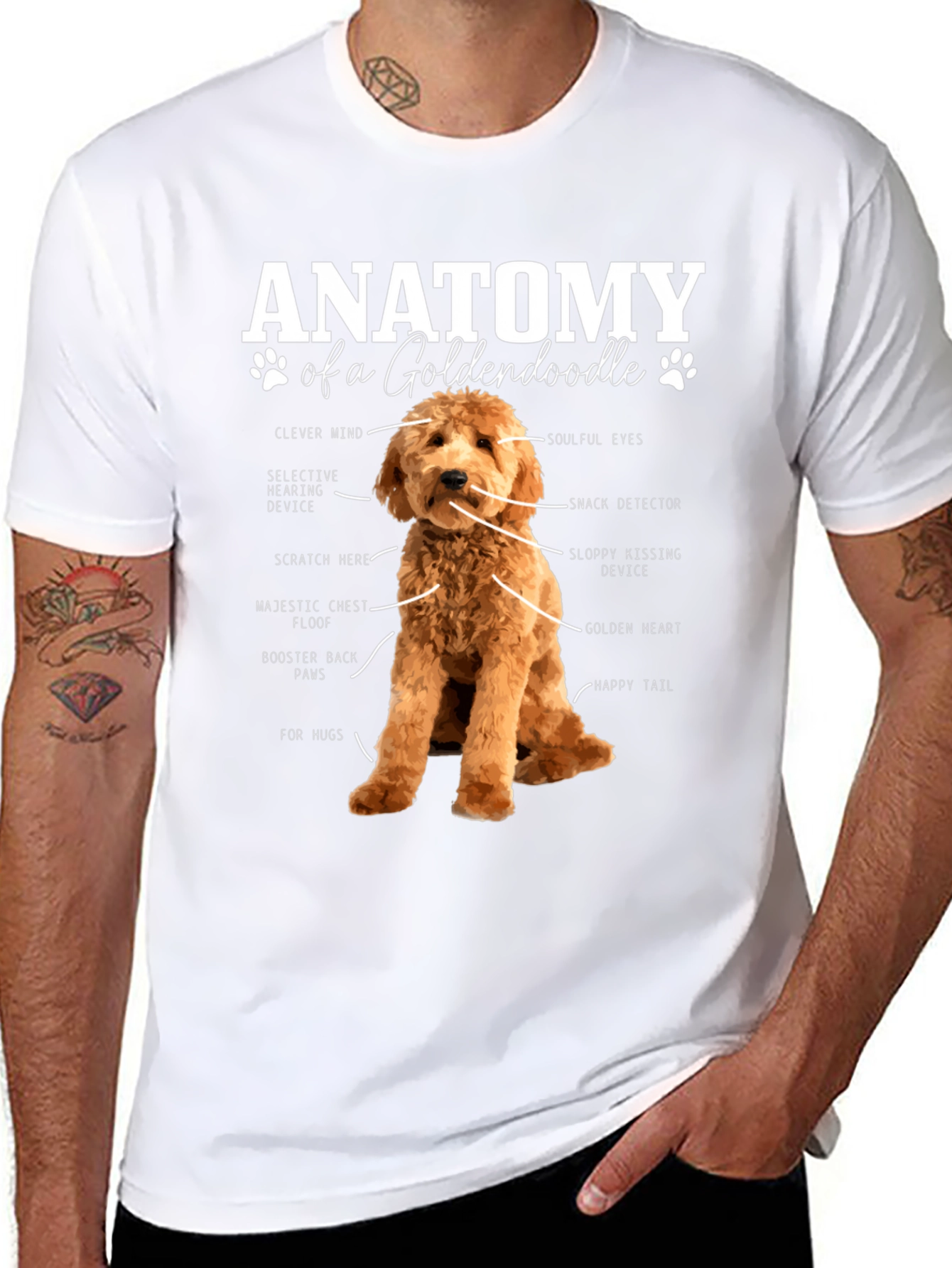 Goldendoodle Anatomy Graphic T-Shirt