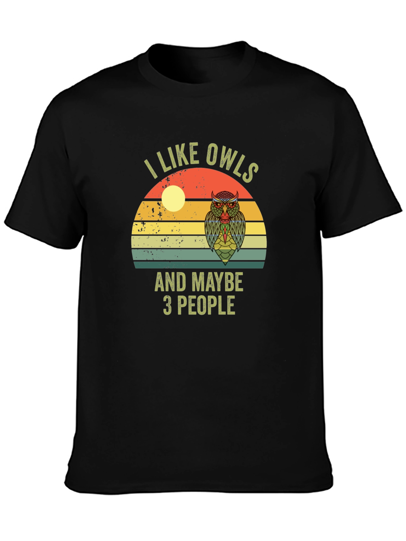 I Like Owls and Maybe 3 People T-Shirt