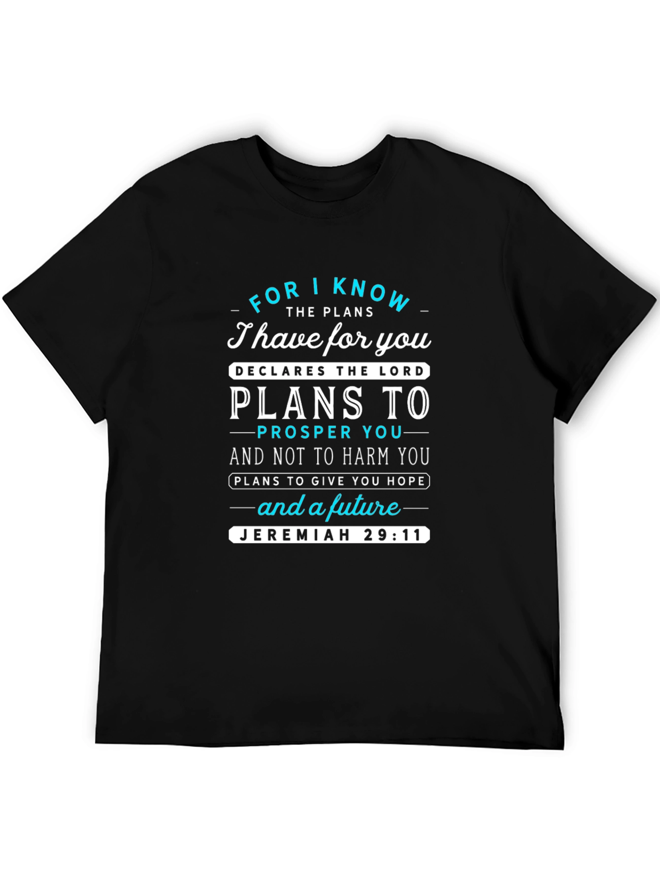 Jeremiah 29:11 T-Shirt - Faith-Inspired Graphic Tee