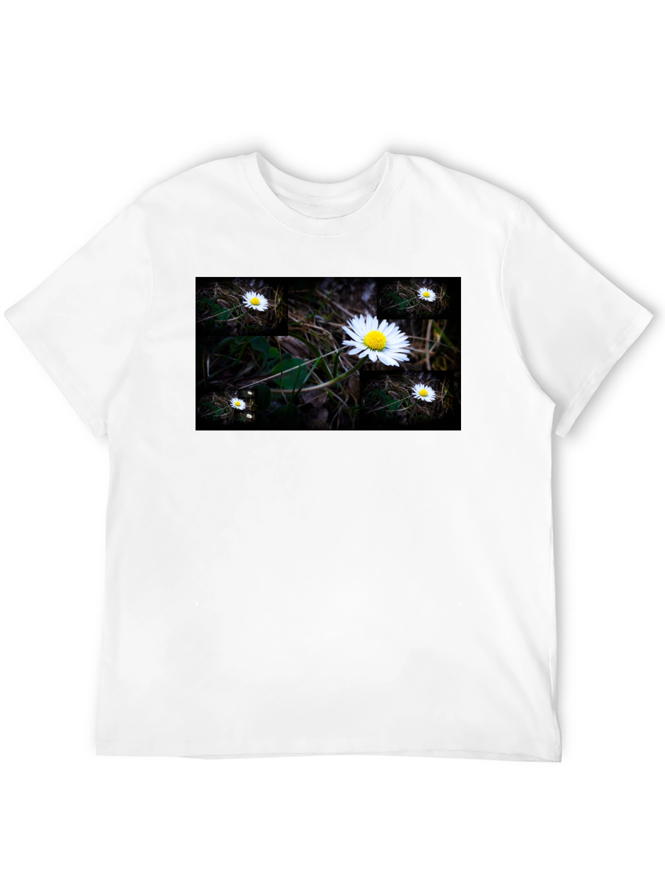 Daisy Field Graphic Tee - Soft Black Cotton