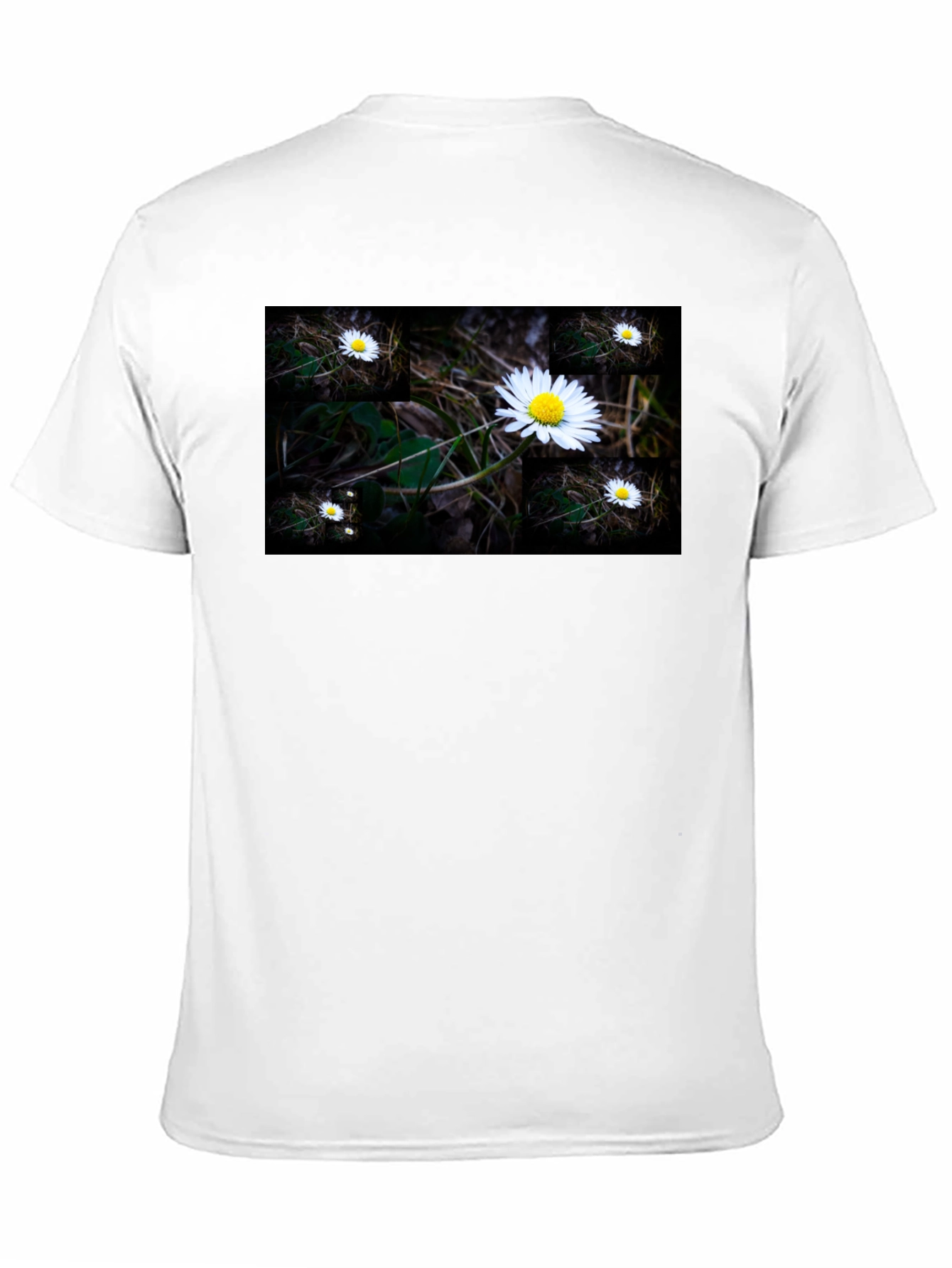 Daisy Field Graphic Tee - Soft Black Cotton