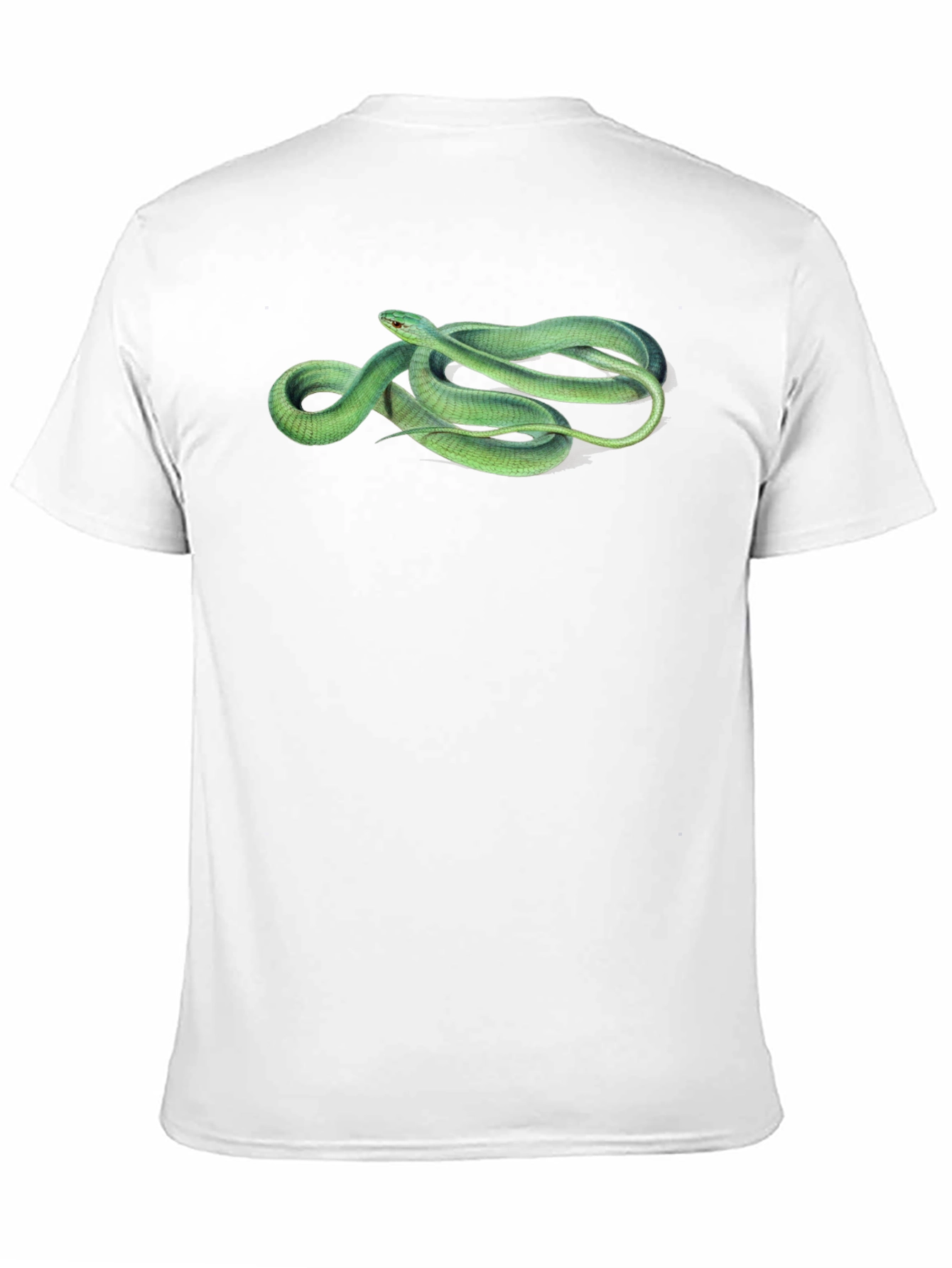 Green Snake Graphic T-Shirt - Stylish Mens Tee