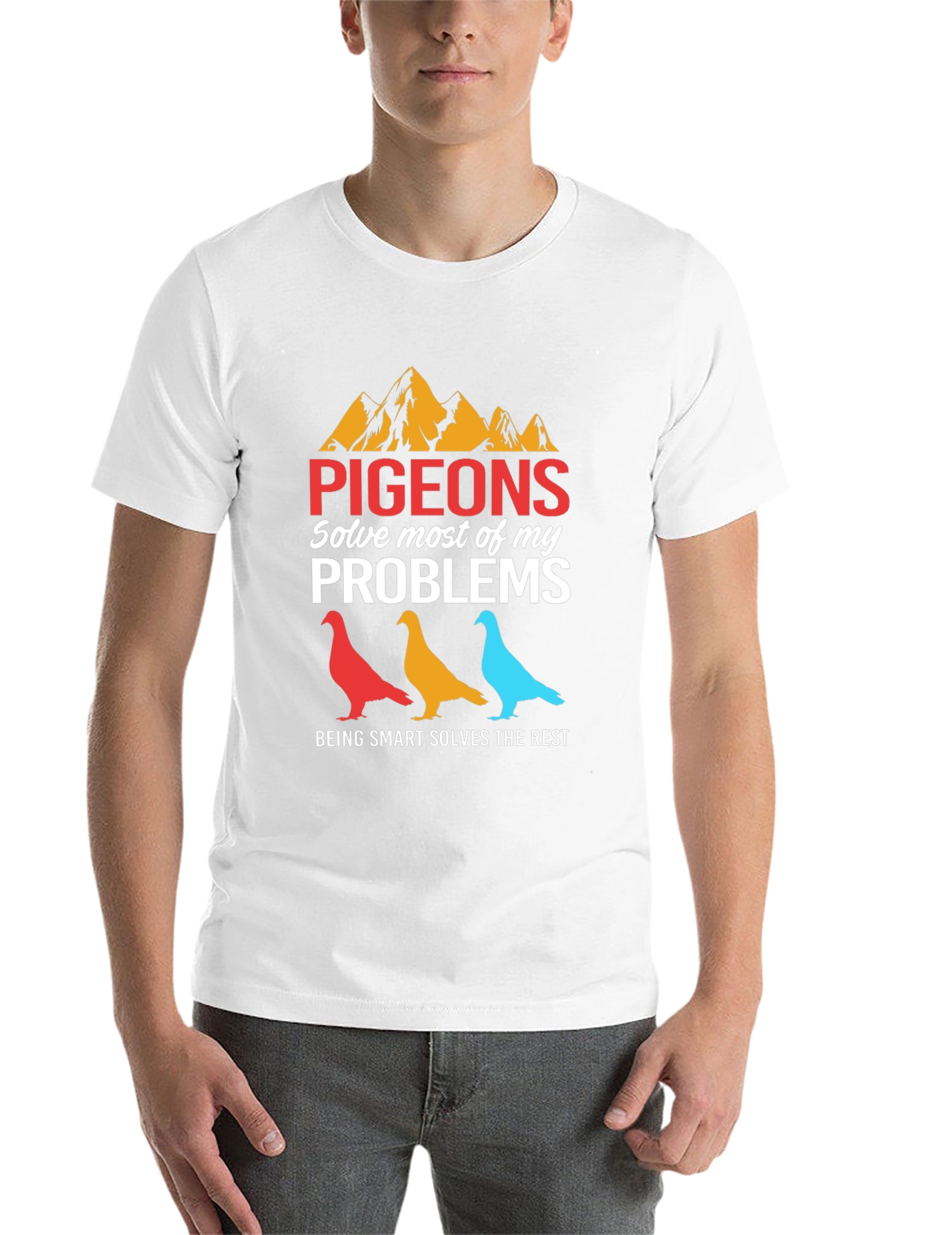 Pigeons Solve My Problems Graphic Tee