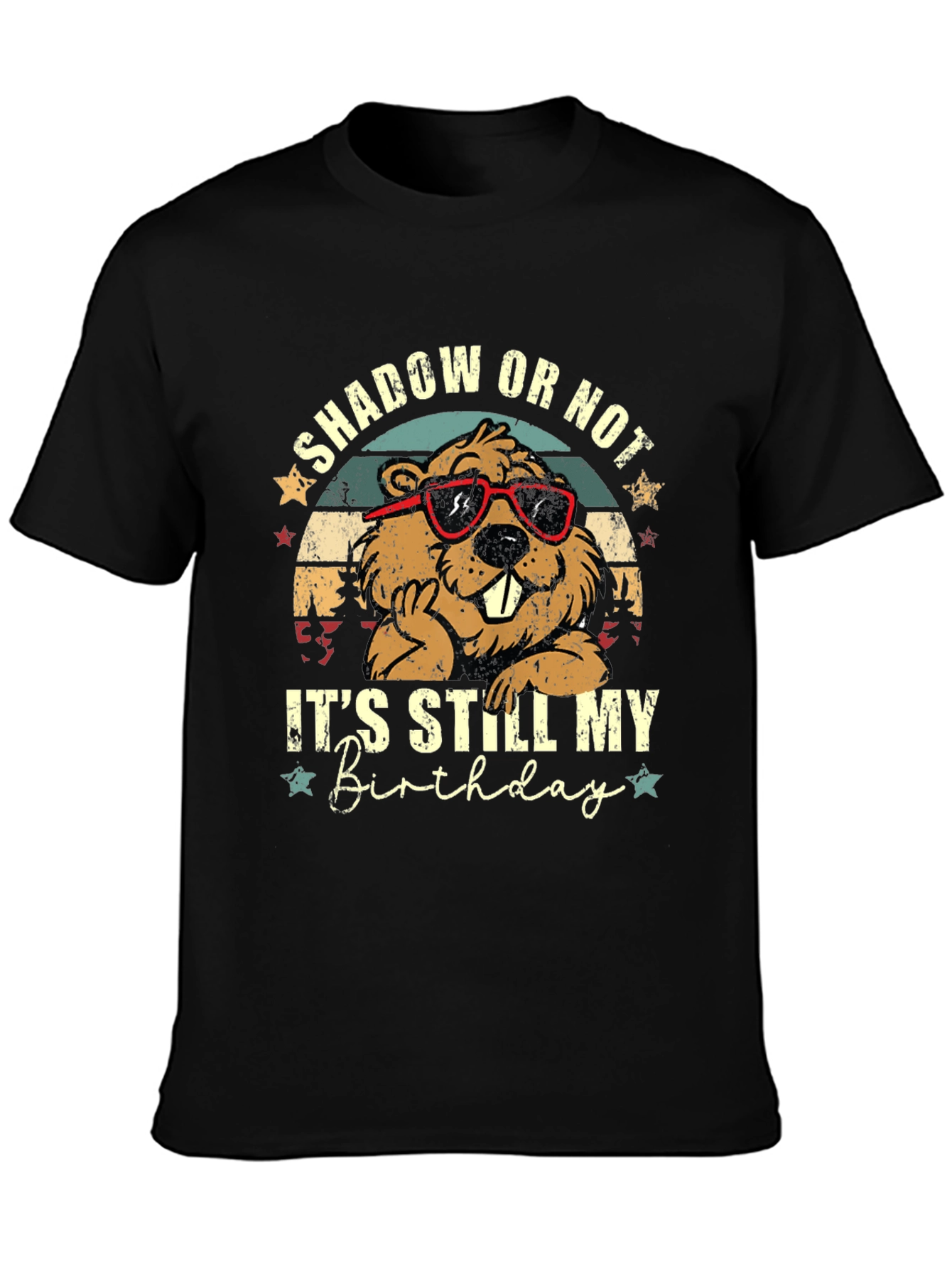 Shadow or Not Its Still My Birthday T-Shirt