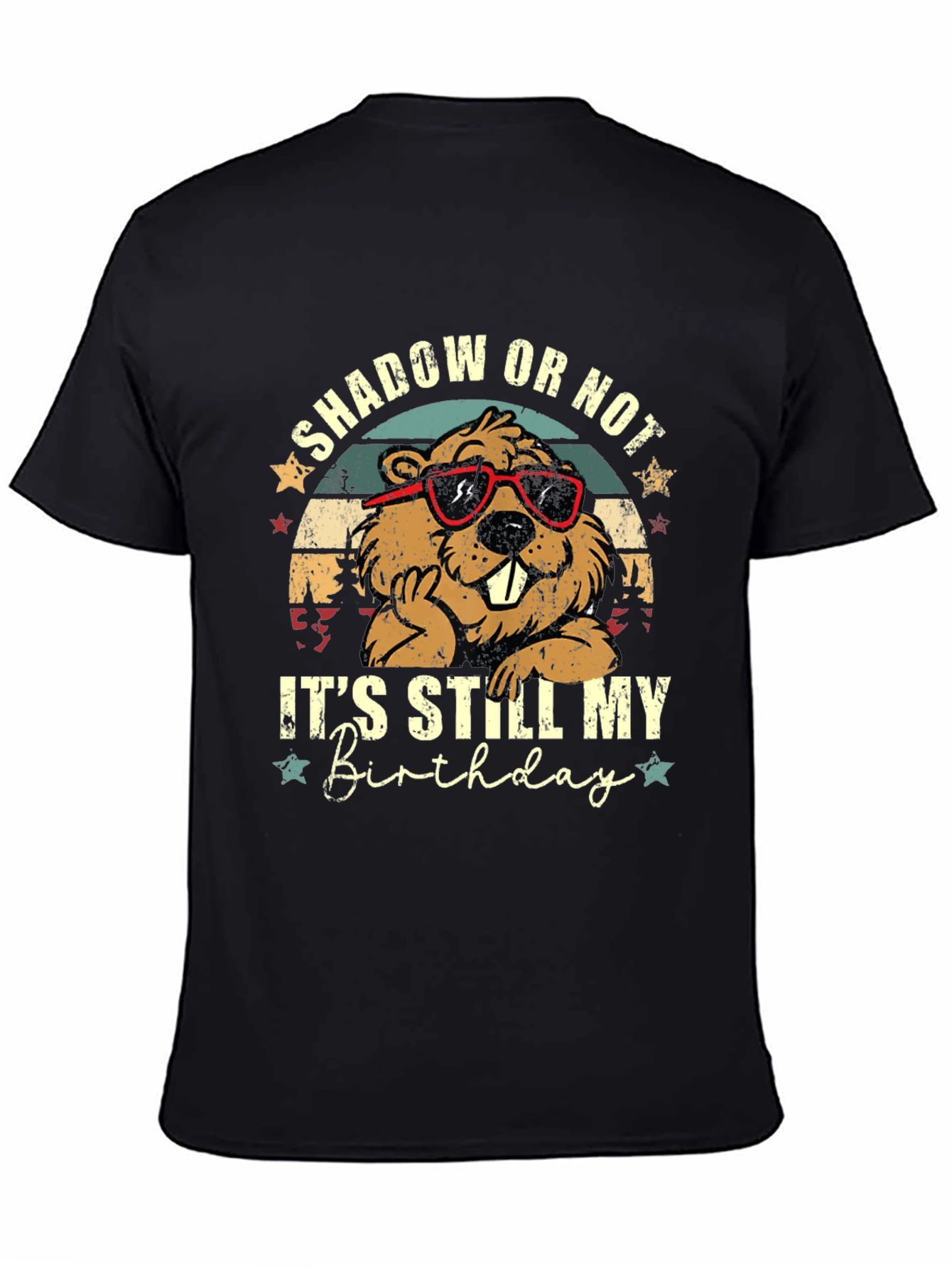 Shadow or Not Its Still My Birthday T-Shirt