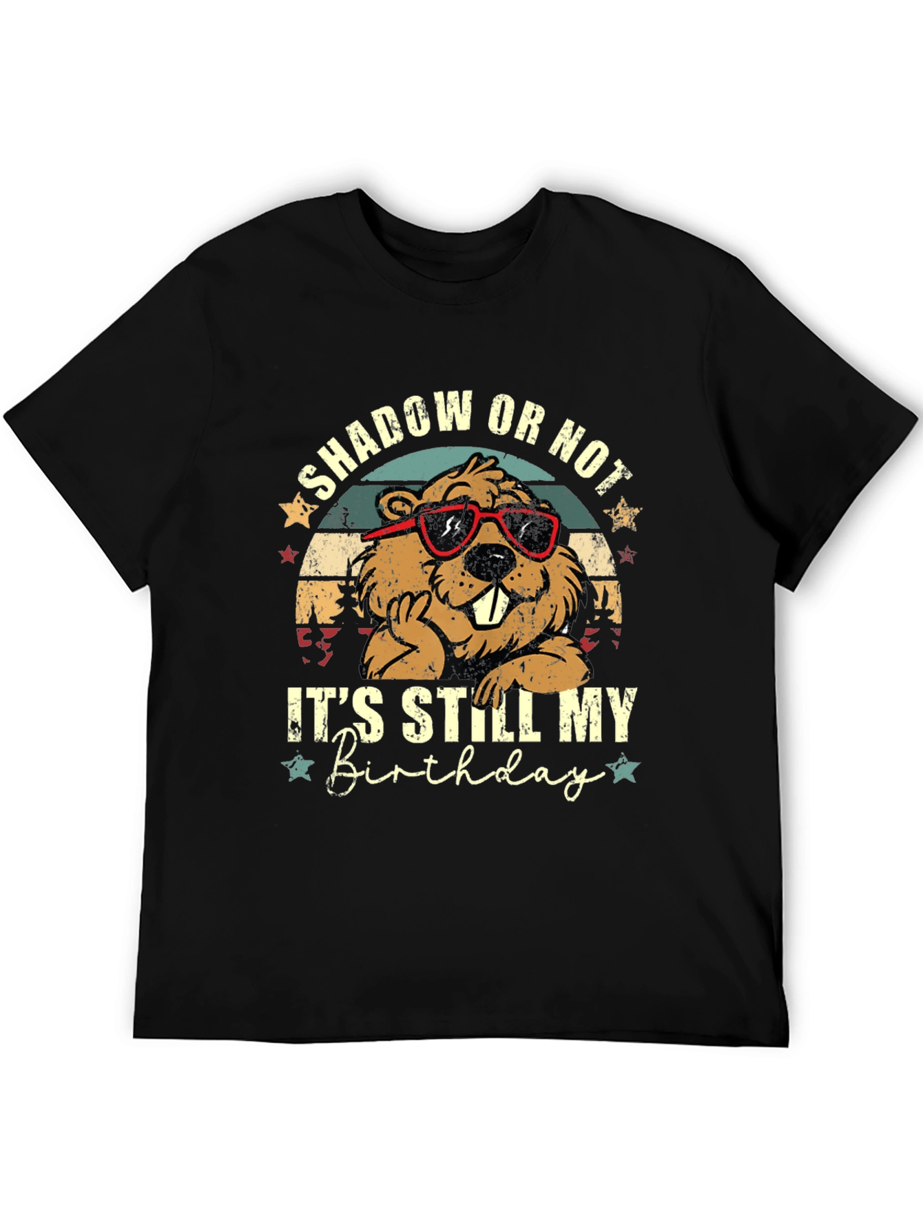 Shadow or Not Its Still My Birthday T-Shirt