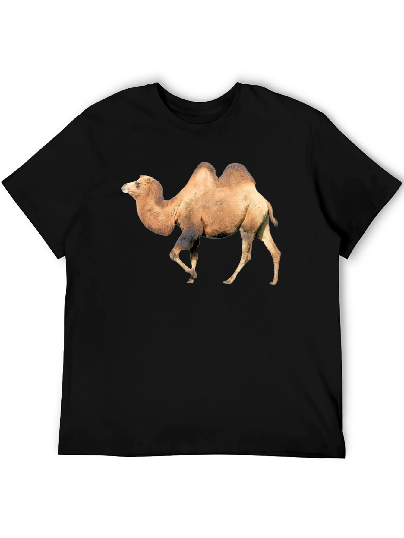 Camel Graphic Tee - Unique Animal Print T-Shirt