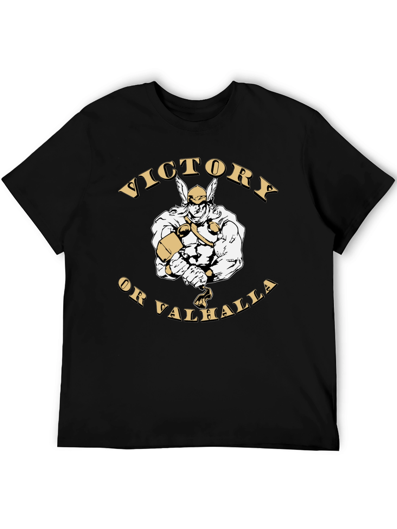 Victory or Valhalla Viking Graphic T-Shirt